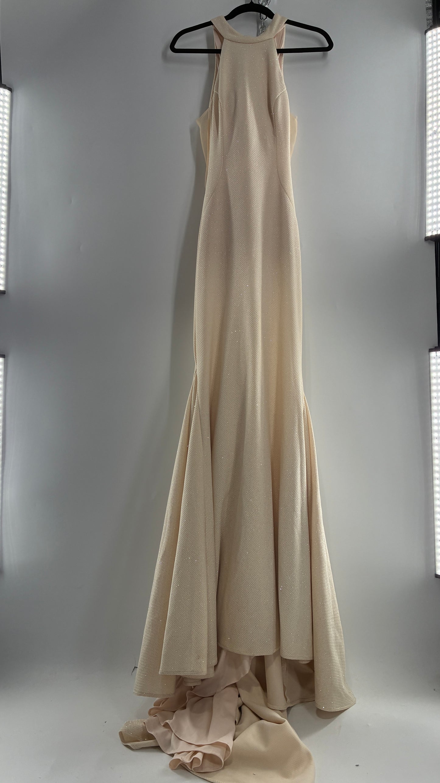 Vintage JOVANI Ivory Glittery Full Length Gown with Sheer Side Panels, Hourglass Illusion, and Pin Up Train (8)