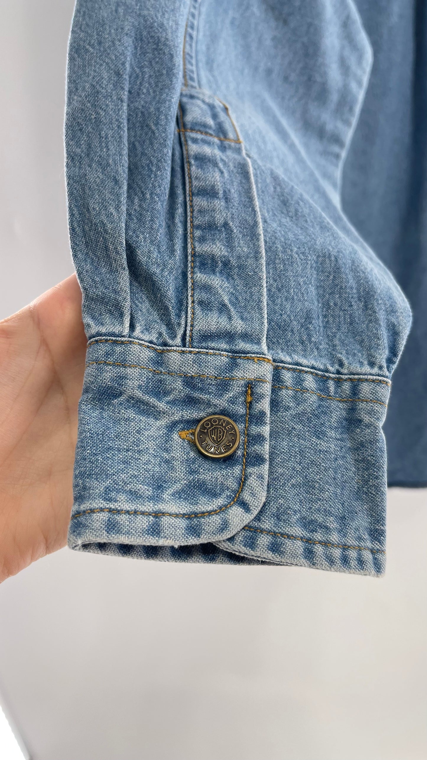 Deadstock Vintage Warner Bros Looney Tunes Denim Longsleeve with Embroidered Taz Pocket (XS/S)