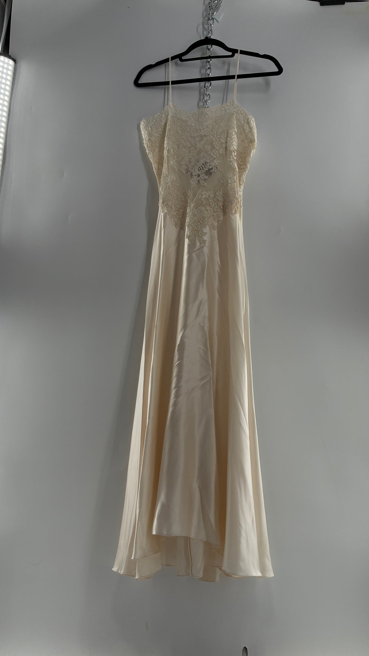Vintage JONQUIL 100% Silk Gown with Heavy Lace Appliqués and Low Cut Sheer Back (Medium)