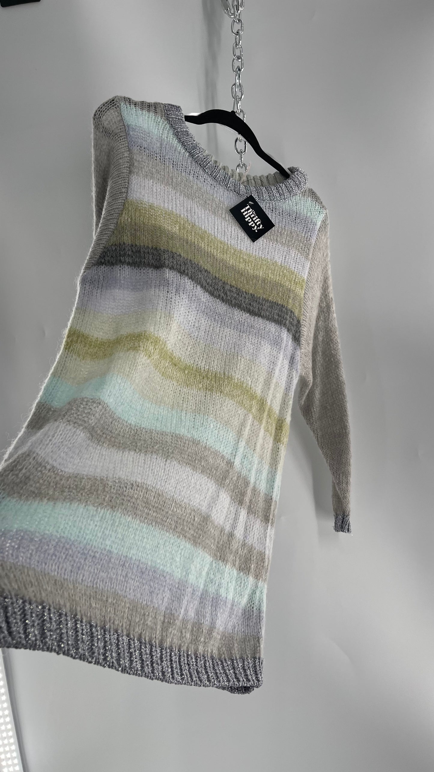 Free People Striped Sweater with Glitter Knit Cuffs and Collar (XS)