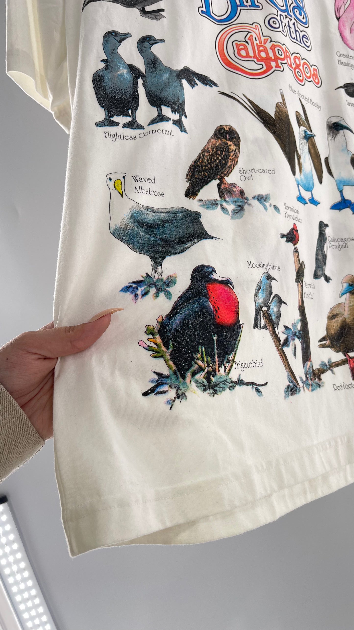 Vintage Glitter Galapagos Bird Species T (Medium)