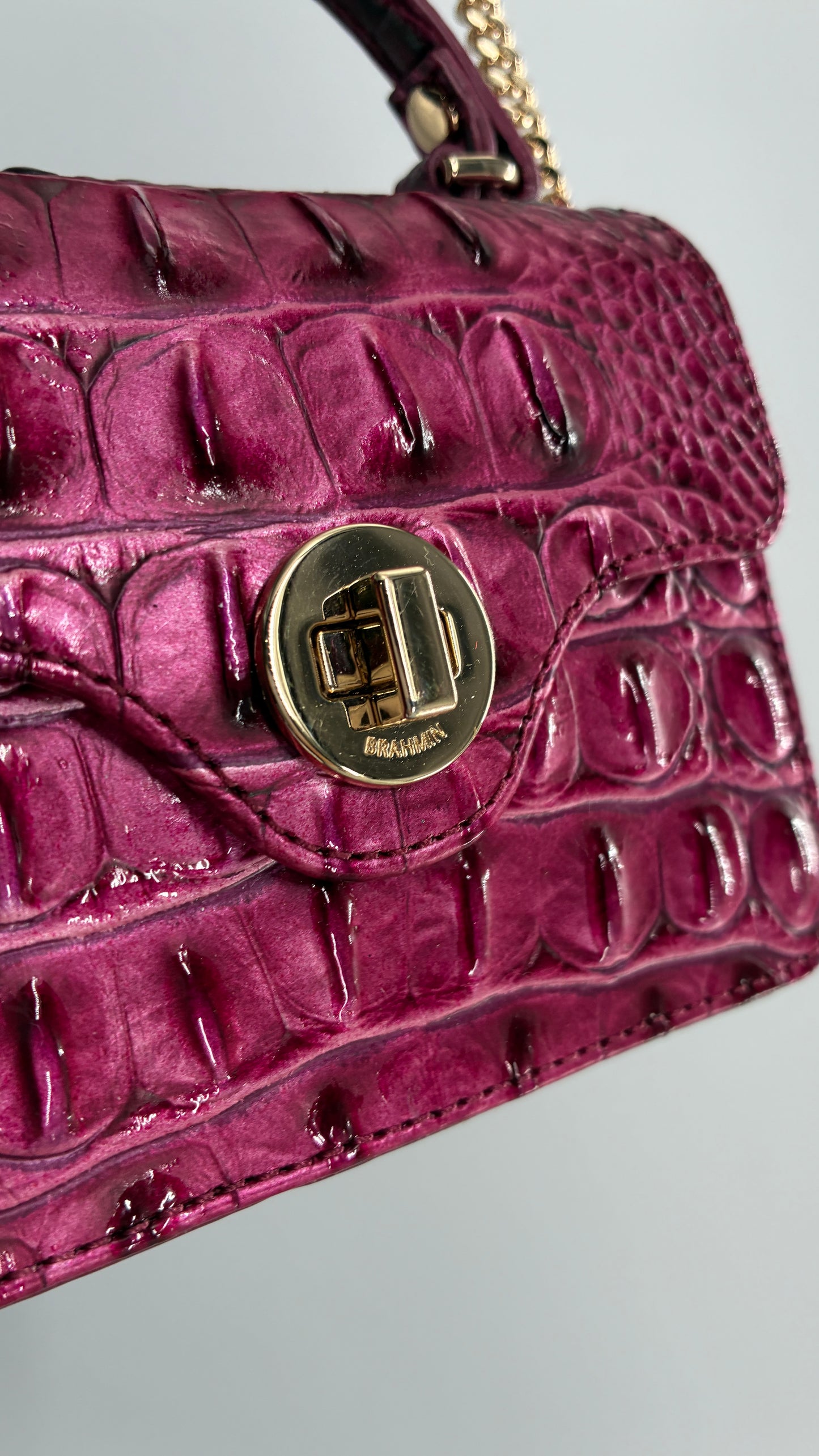 BRAHMIN Arietta Pomegranate Melbourne Mini Purse with Tags Attached, Gold Crossbody Chain and Authentication
