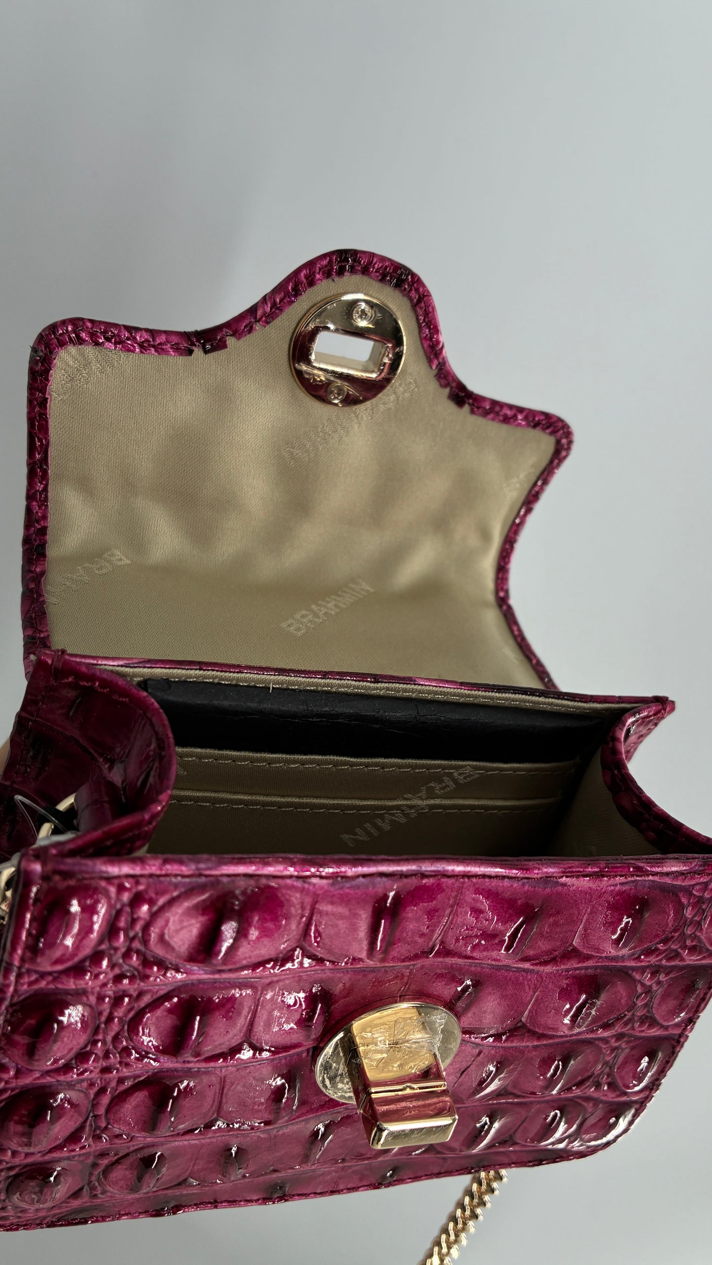 BRAHMIN Arietta Pomegranate Melbourne Mini Purse with Tags Attached, Gold Crossbody Chain and Authentication