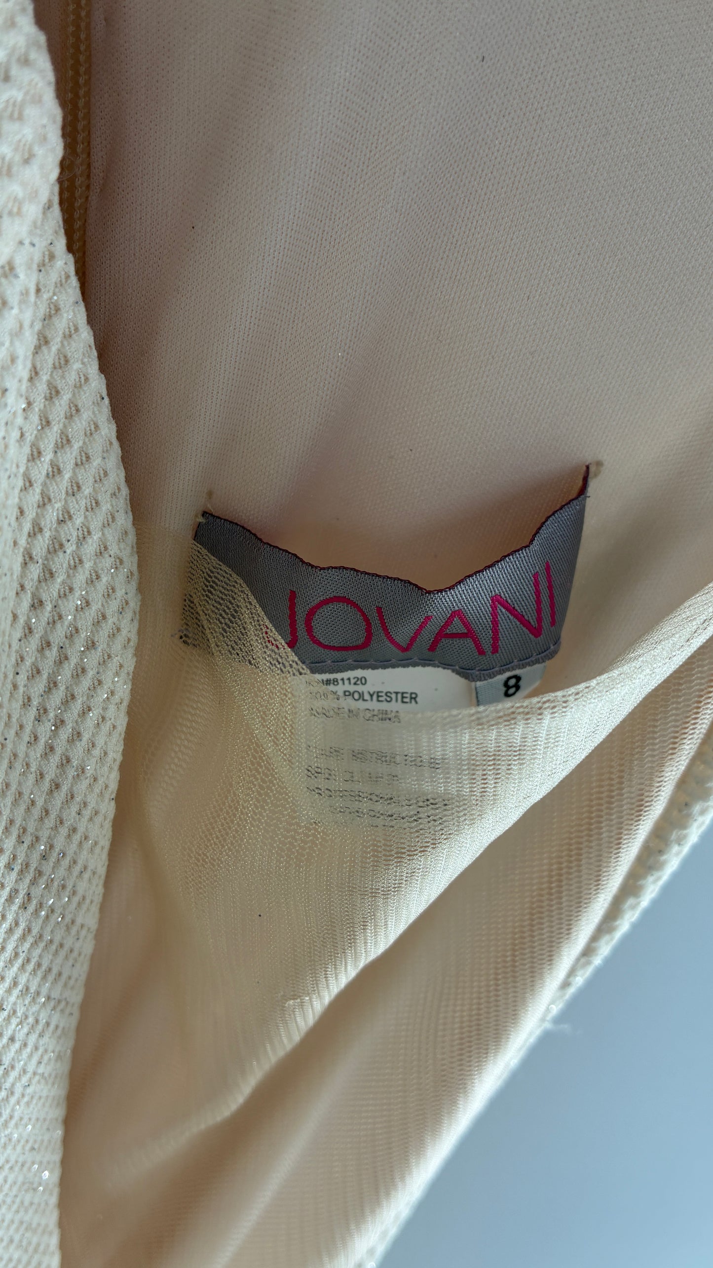 Vintage JOVANI Ivory Glittery Full Length Gown with Sheer Side Panels, Hourglass Illusion, and Pin Up Train (8)