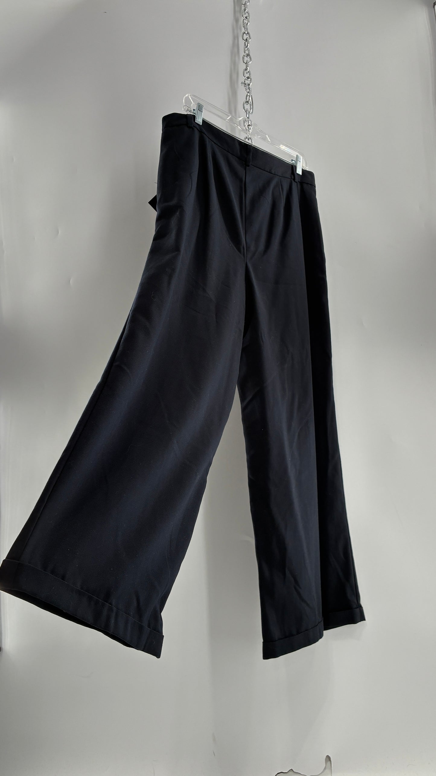 Free People Black Wide Leg, Pleated Trouser with Tags Attached (10)