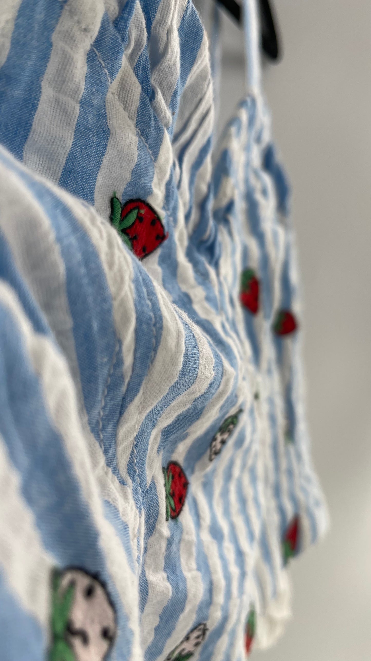 Maeve Anthropologie Baby Blue White Striped Corset Like Crop with Embroidered Strawberries (6)
