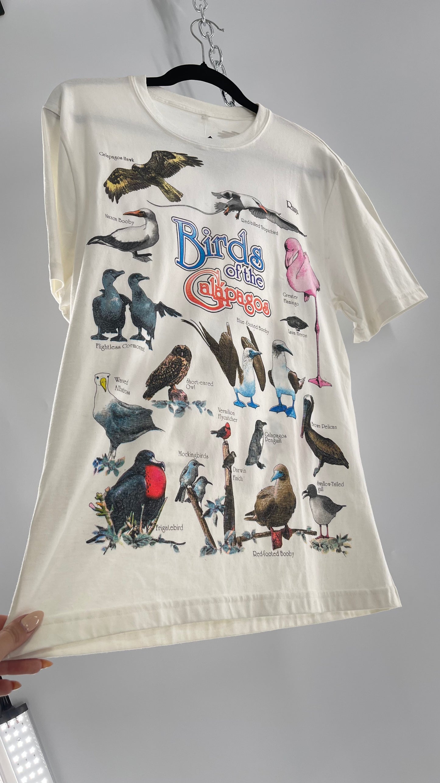 Vintage Glitter Galapagos Bird Species T (Medium)