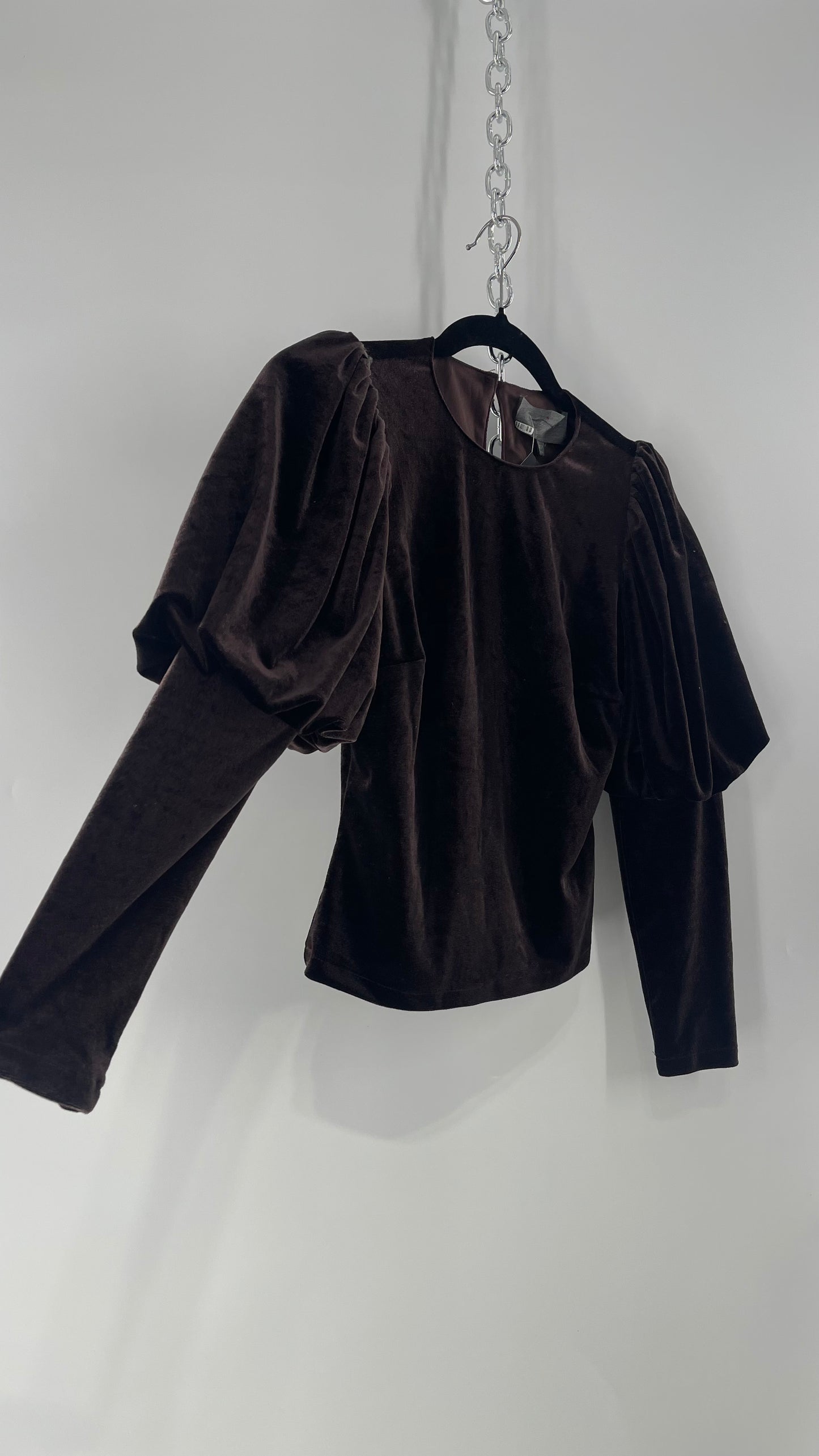 Anthropologie Sundays in Brooklyn Dark Brown Puff Shoulder, High Neck, Juliette Sleeve Blouse (XXSP)