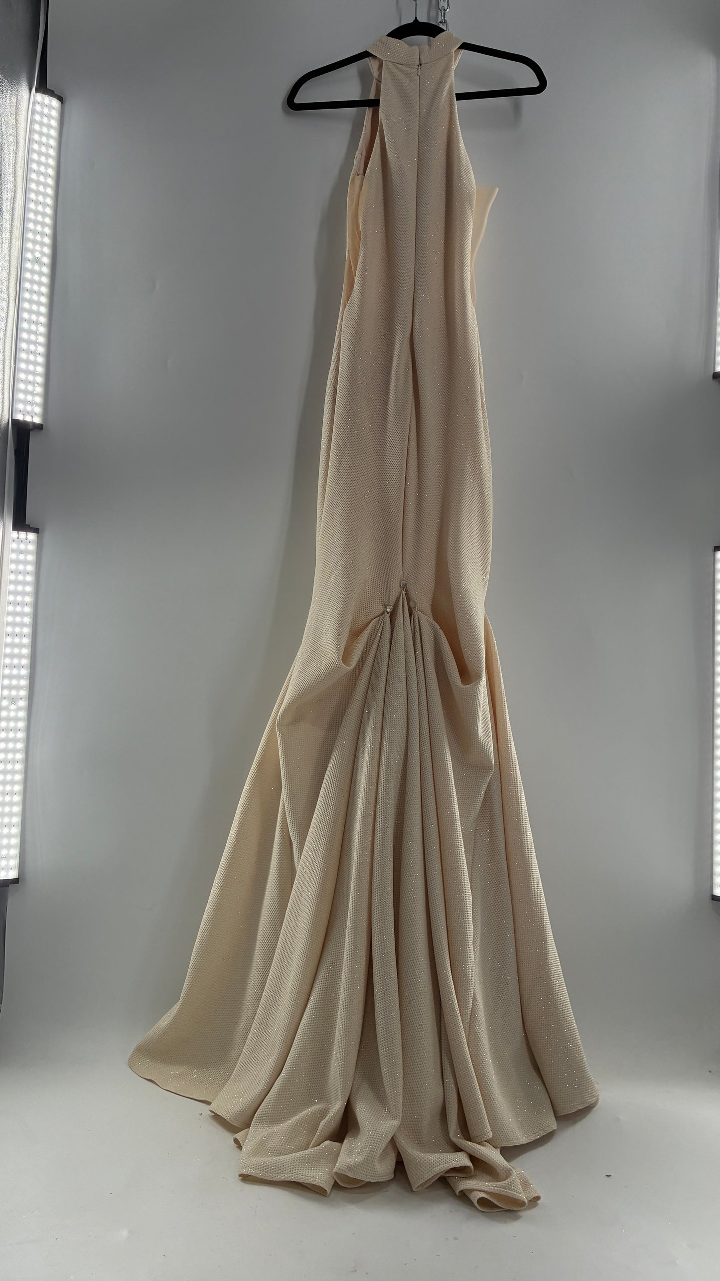 Vintage JOVANI Ivory Glittery Full Length Gown with Sheer Side Panels, Hourglass Illusion, and Pin Up Train (8)