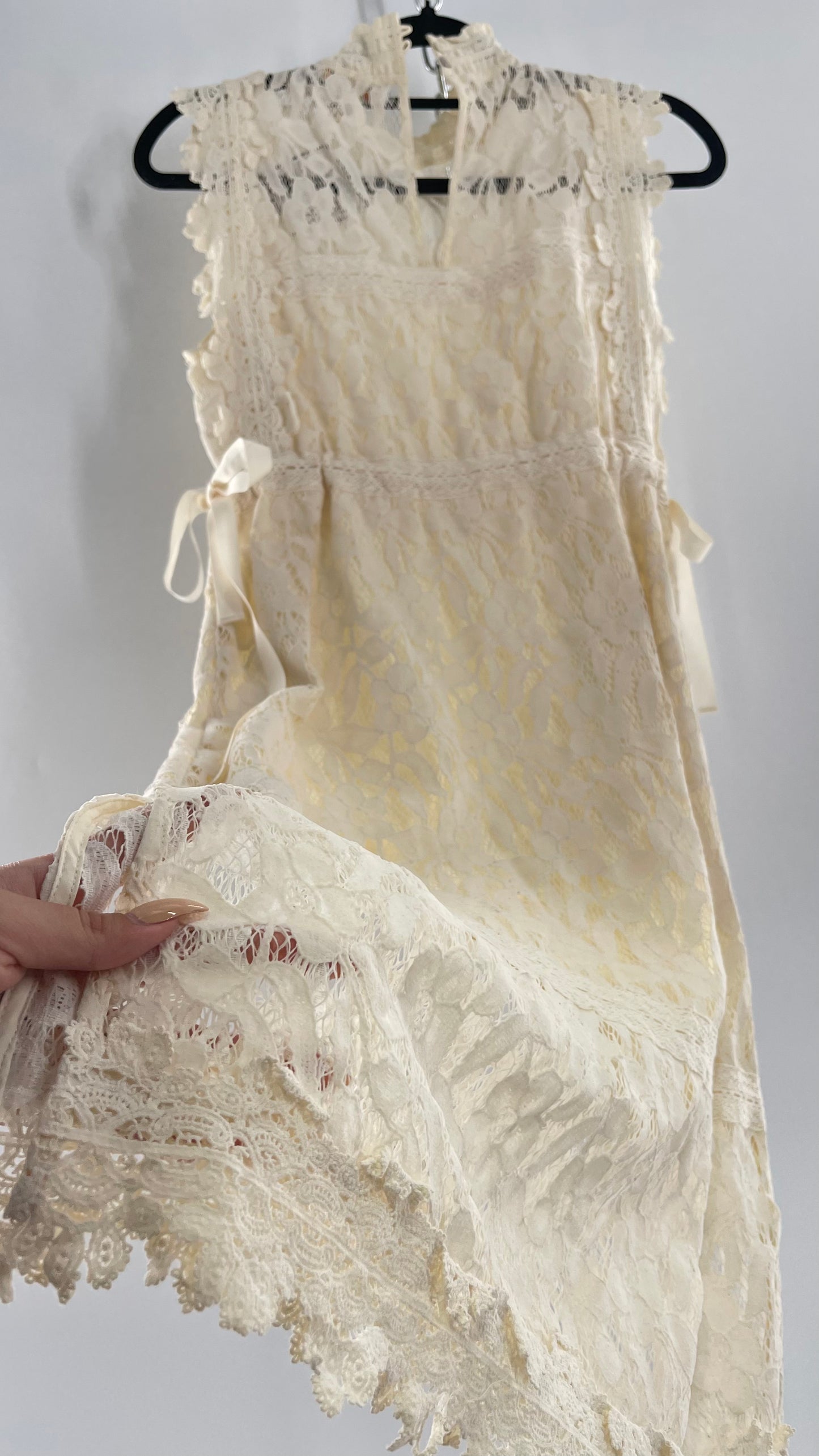 Eri + Ali Anthropologie Velvet Lace MIDI Dress with High Neckline and Side Bow Ties(XS)