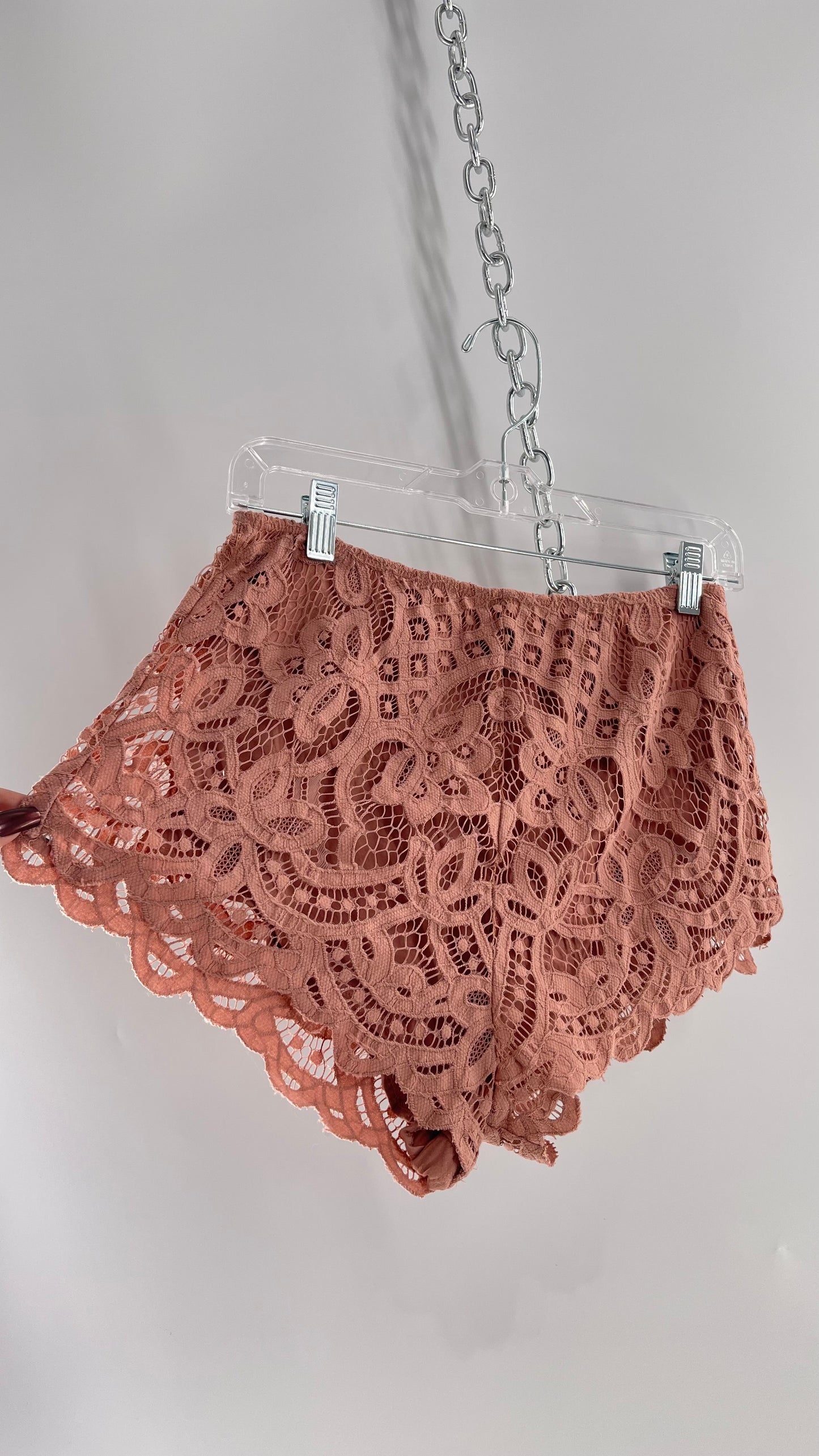 Intimately Free People Dusty Pink Lace Shorts (Small)
