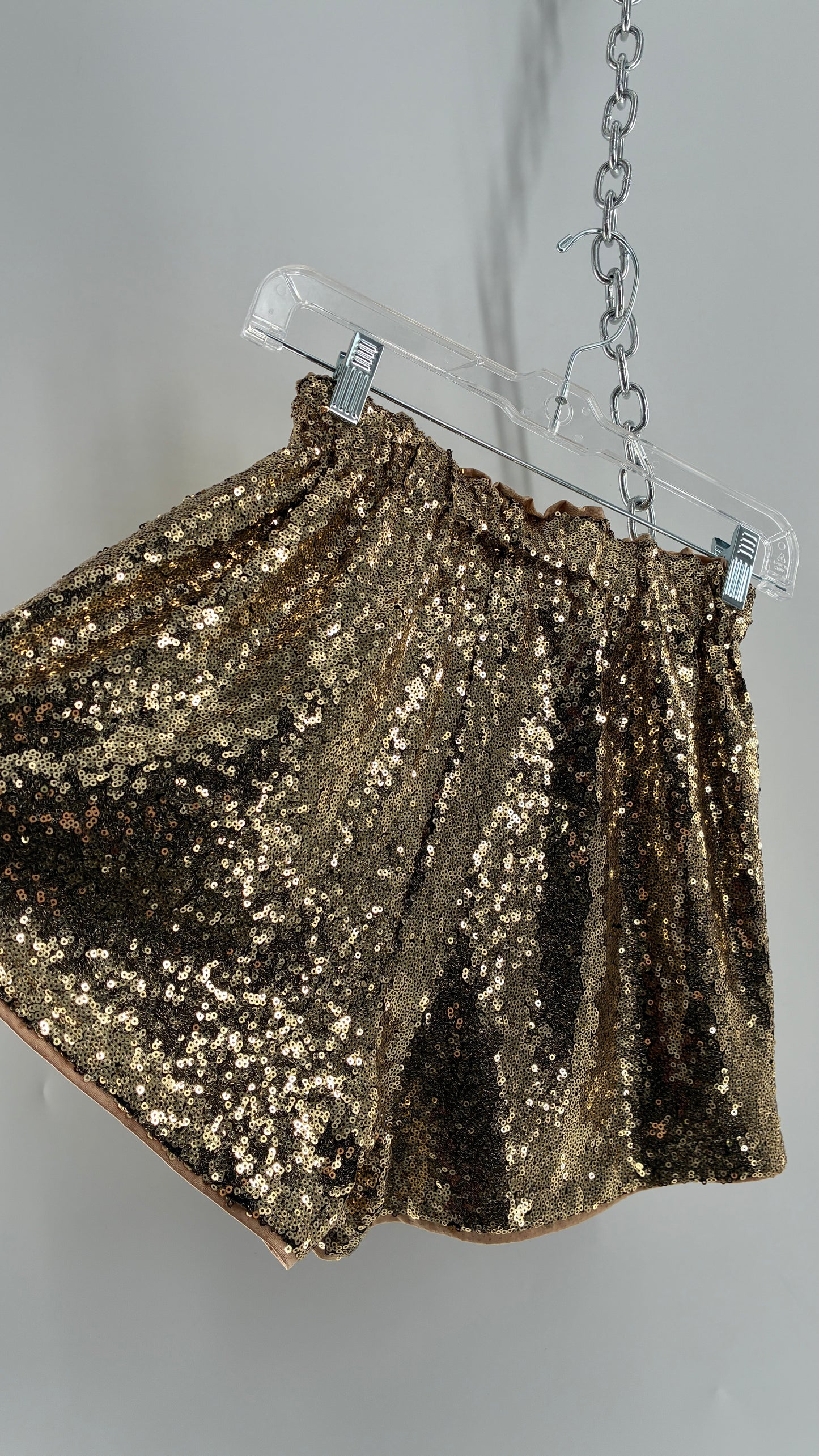 Gold Sequin Shorts with Tan Mesh Lining (Small)
