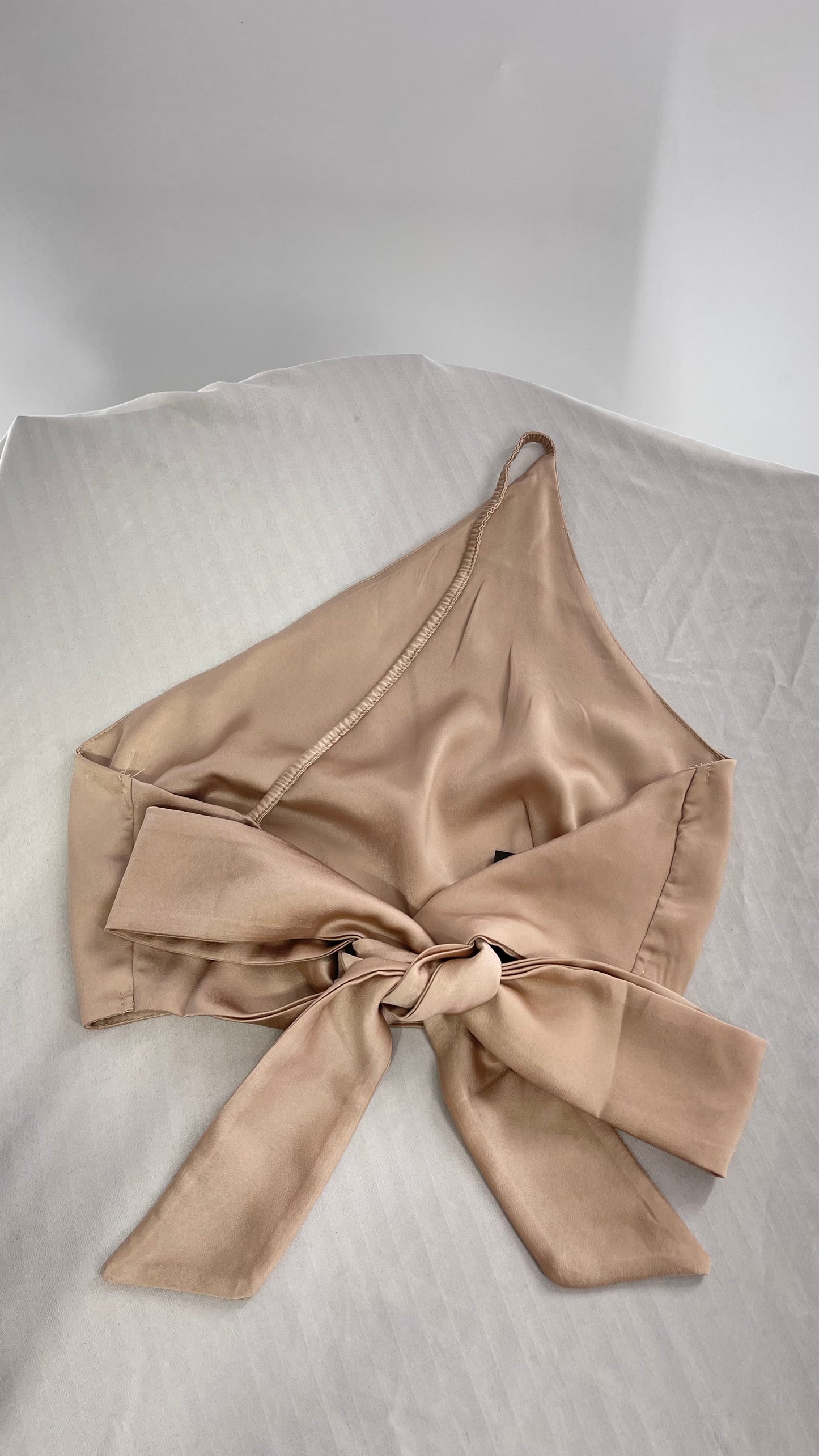 NIAY Silky Champagne Backless Bow Back Sleeveless Top (Small)