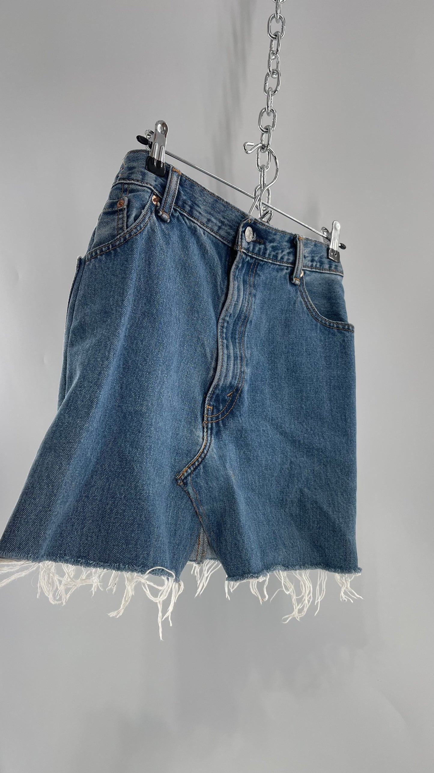 Urban Outfitters Levi Strauss Vintage Light Wash Denim Mini Skirt (Size XS)