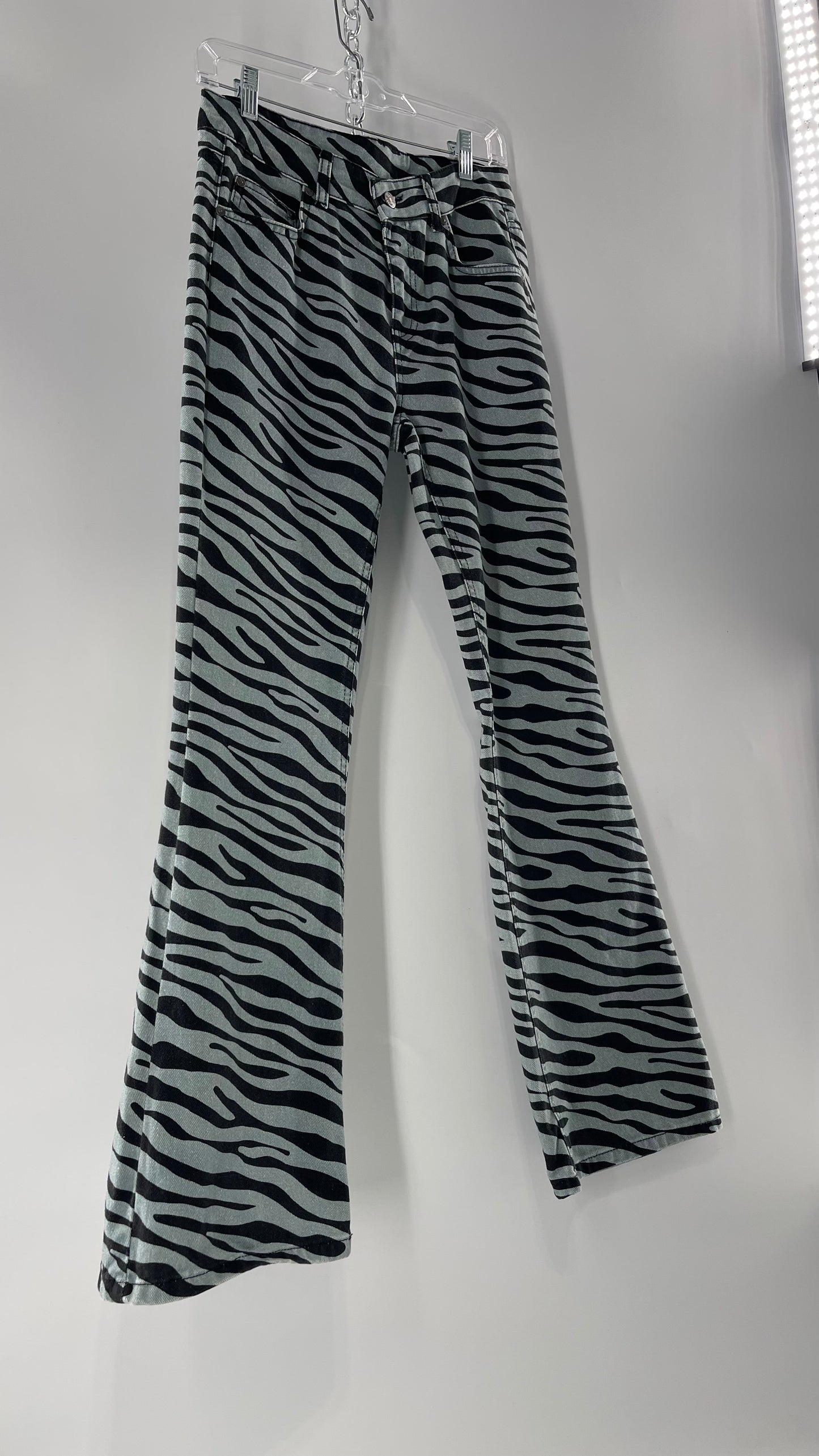 Milk It Baby Blue Kickflares in Zebra Patterning (26)
