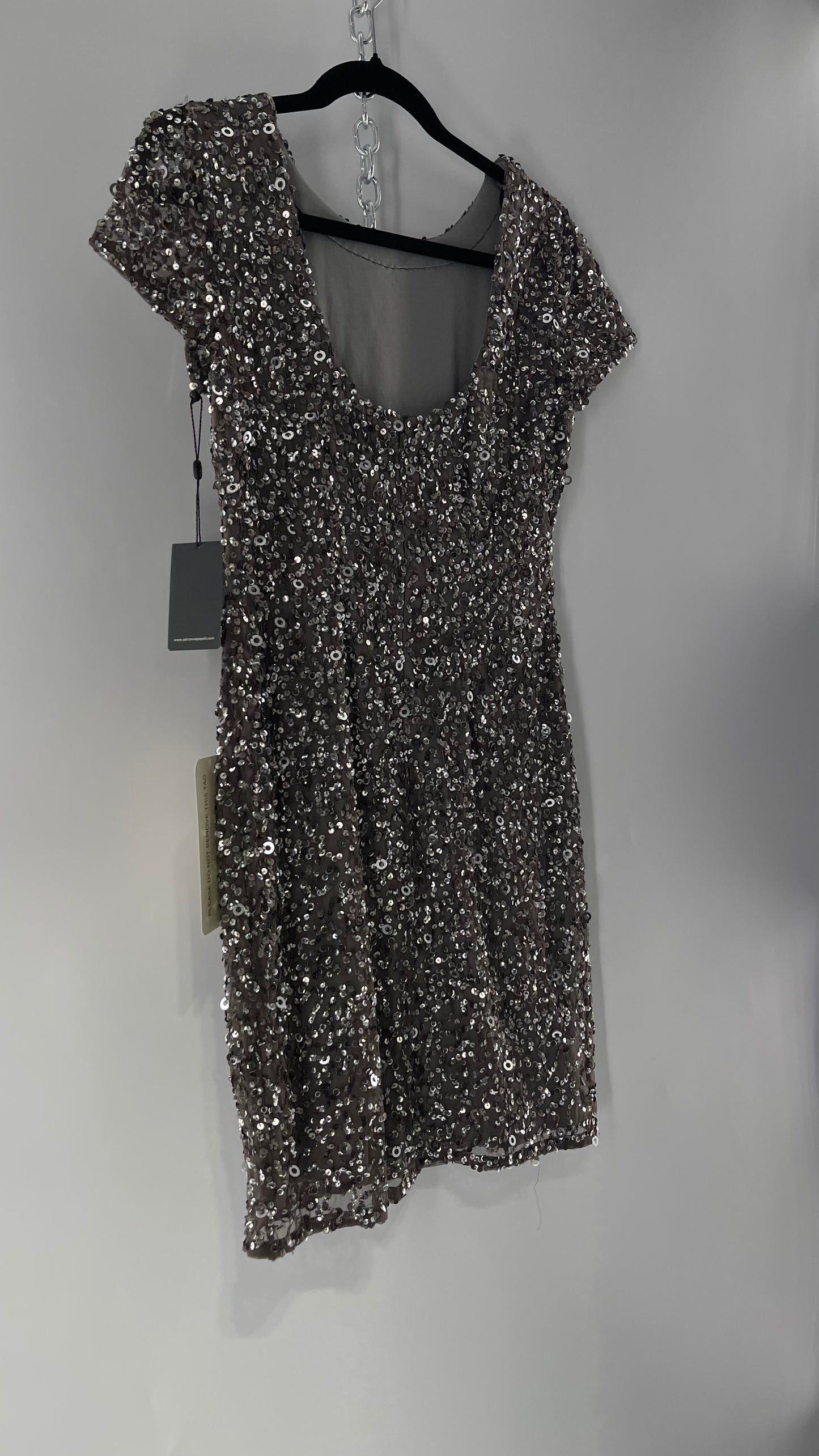 Adriana Papell Grey/Silver Short Sleeve Mini Dress Covered in Beads and Sequins (6)