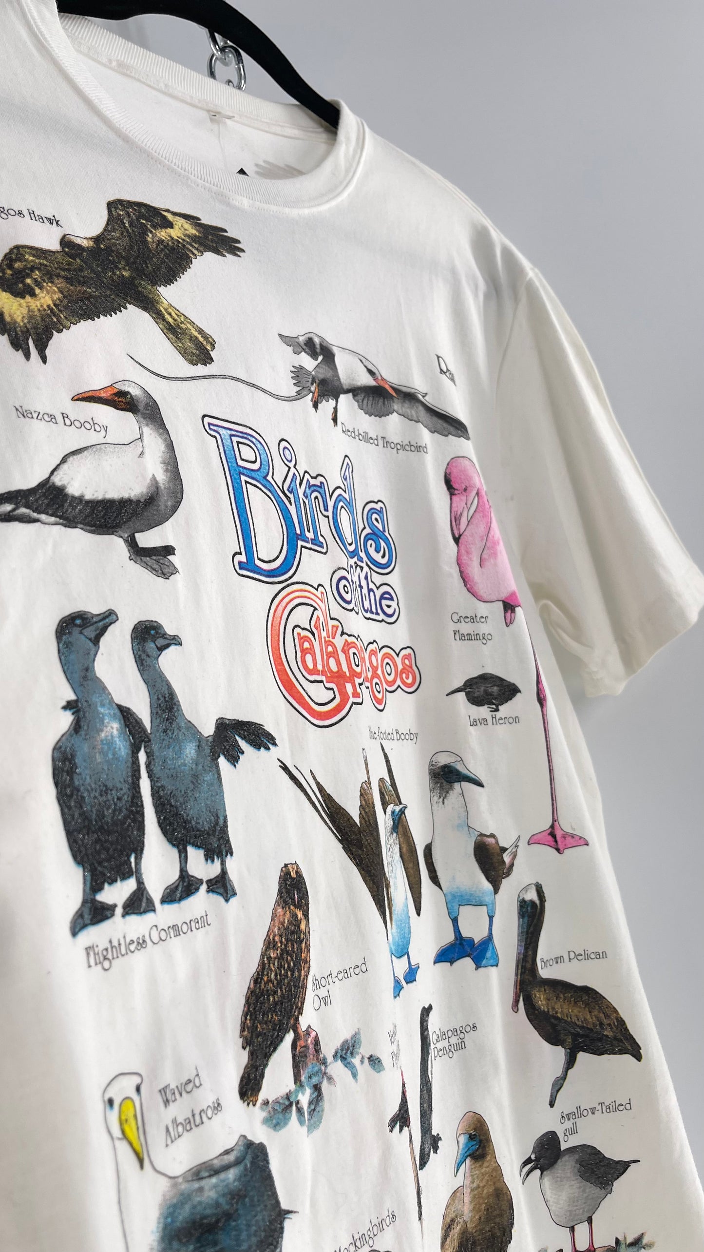 Vintage Glitter Galapagos Bird Species T (Medium)