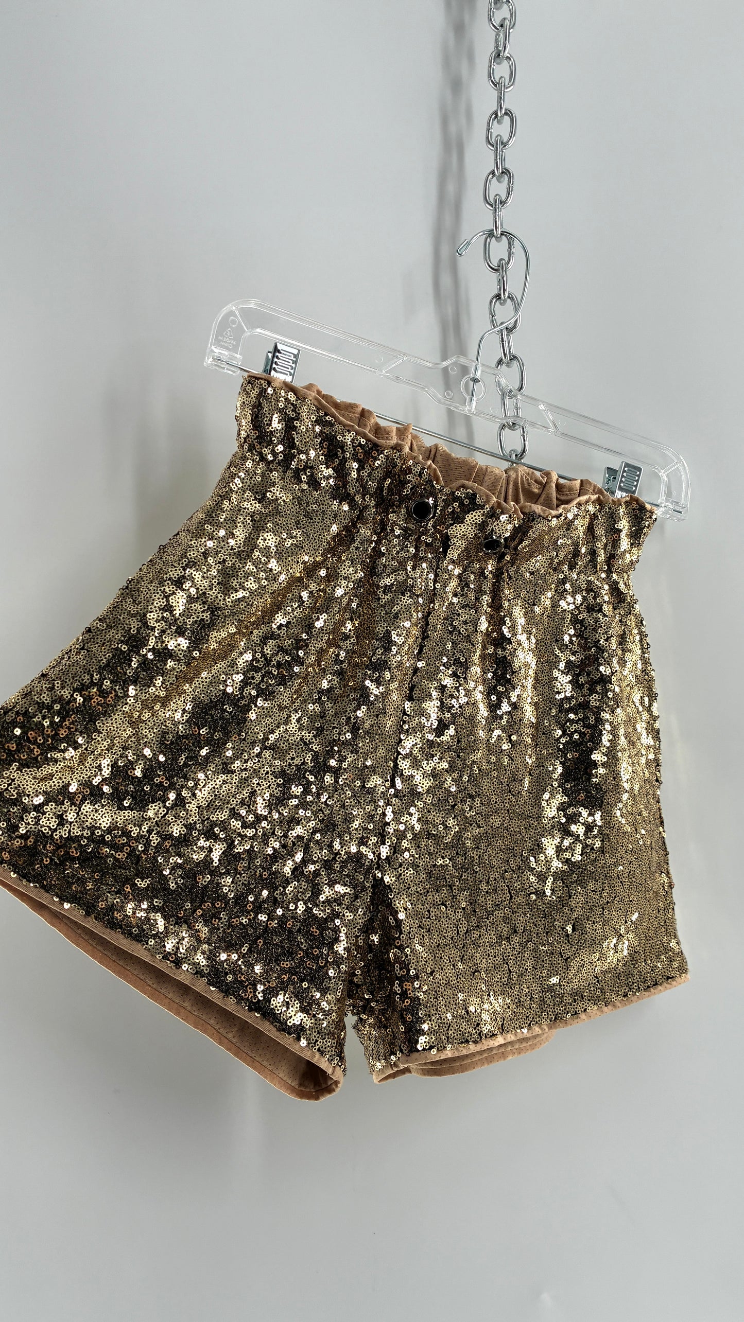 Gold Sequin Shorts with Tan Mesh Lining (Small)