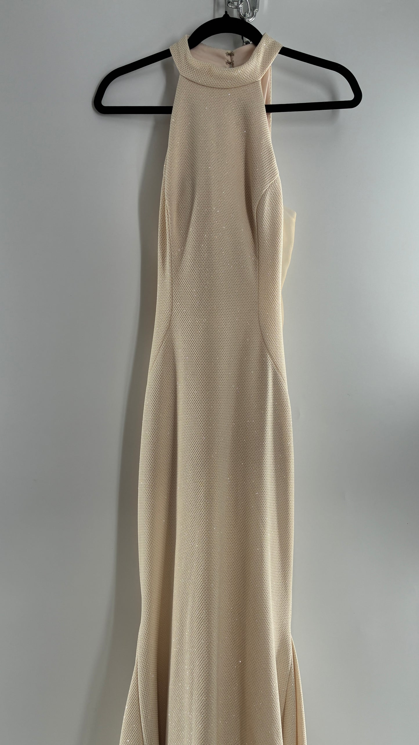 Vintage JOVANI Ivory Glittery Full Length Gown with Sheer Side Panels, Hourglass Illusion, and Pin Up Train (8)