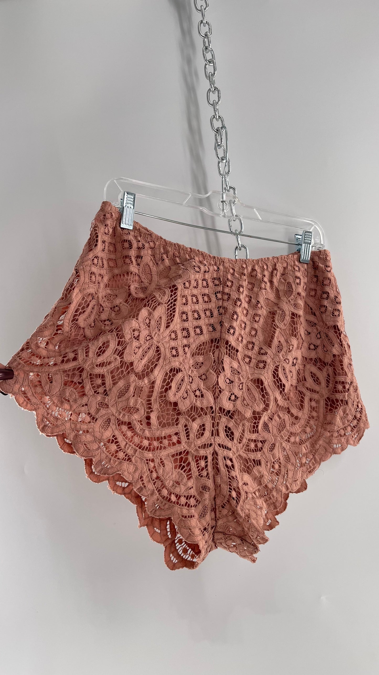 Intimately Free People Dusty Pink Lace Shorts (Large)