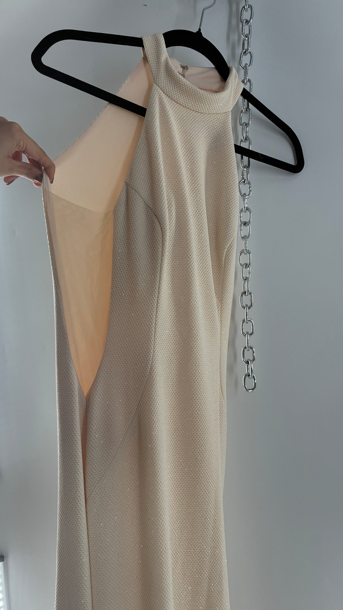 Vintage JOVANI Ivory Glittery Full Length Gown with Sheer Side Panels, Hourglass Illusion, and Pin Up Train (8)