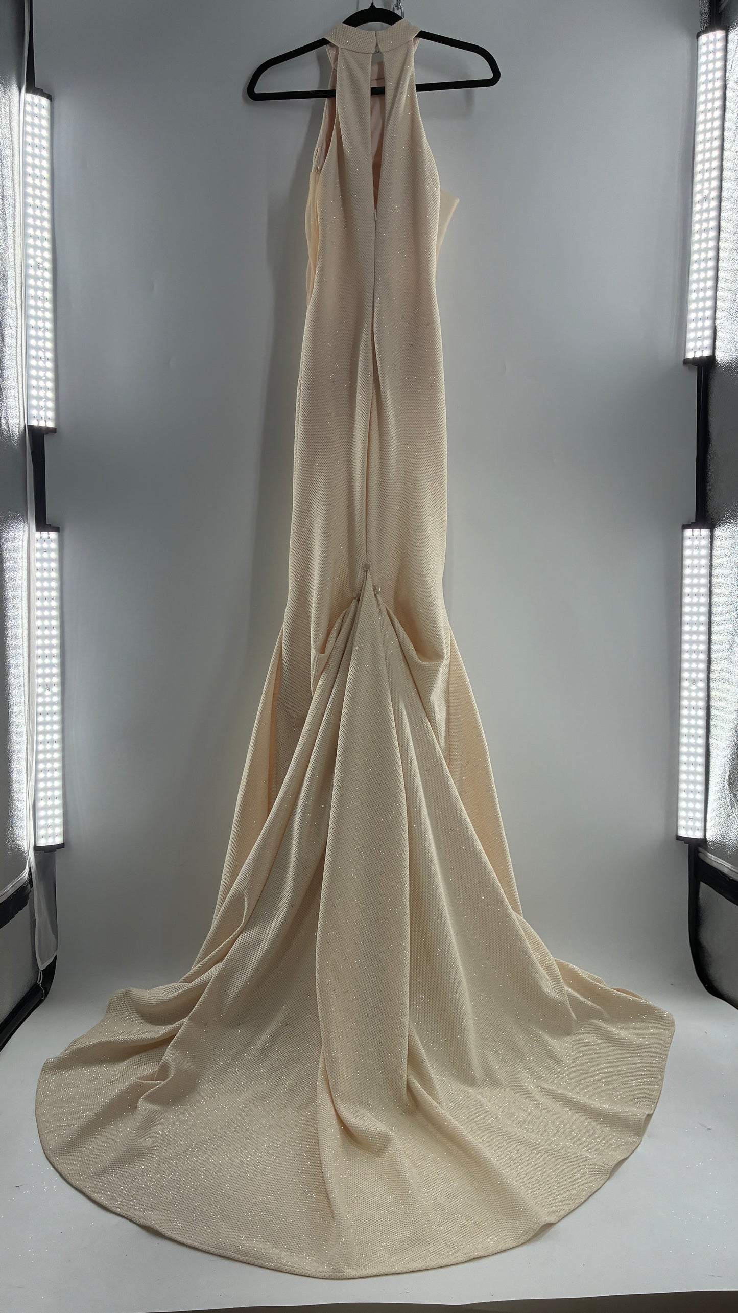 Vintage JOVANI Ivory Glittery Full Length Gown with Sheer Side Panels, Hourglass Illusion, and Pin Up Train (8)