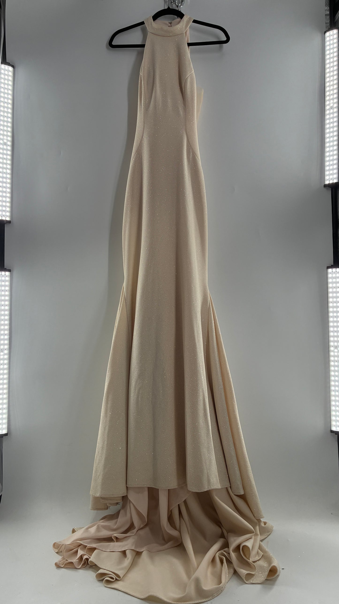 Vintage JOVANI Ivory Glittery Full Length Gown with Sheer Side Panels, Hourglass Illusion, and Pin Up Train (8)