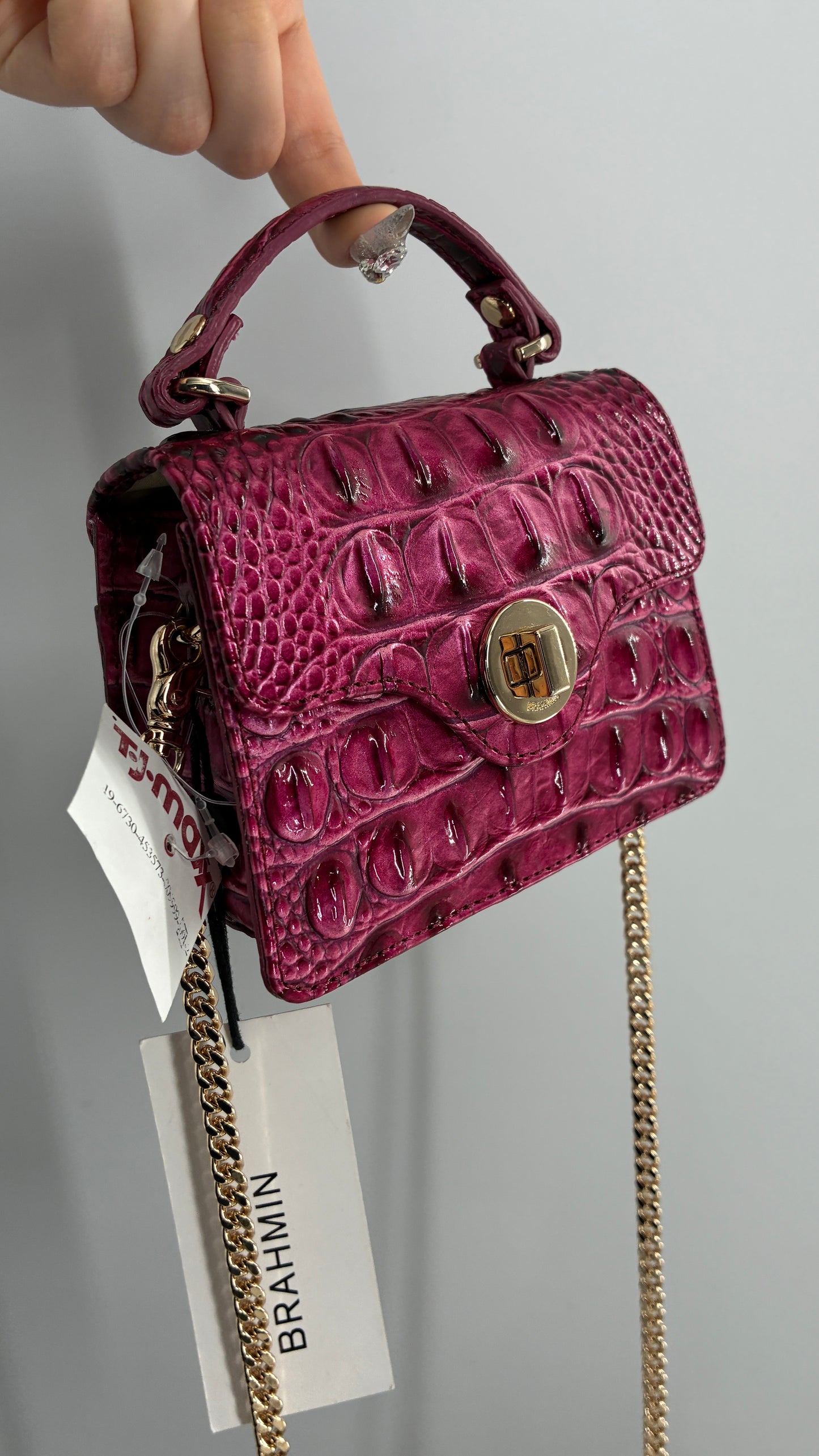 BRAHMIN Arietta Pomegranate Melbourne Mini Purse with Tags Attached, Gold Crossbody Chain and Authentication