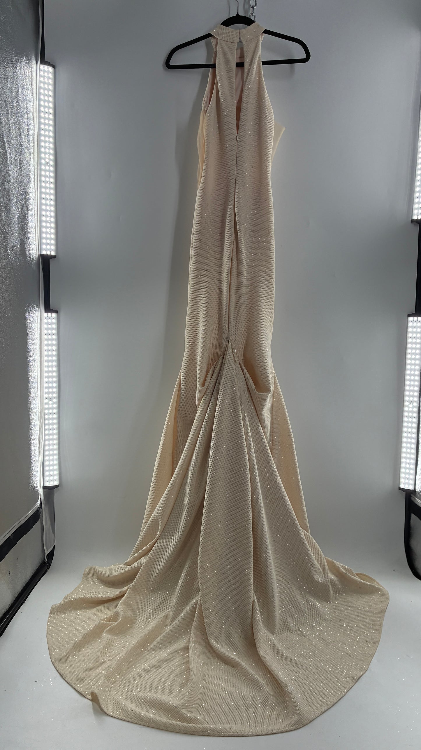 Vintage JOVANI Ivory Glittery Full Length Gown with Sheer Side Panels, Hourglass Illusion, and Pin Up Train (8)