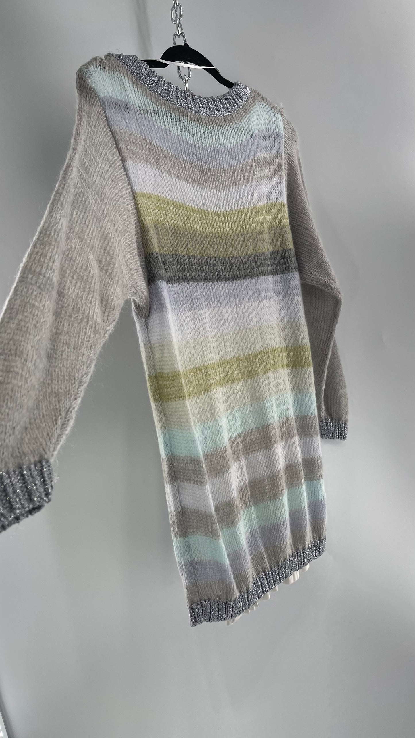 Free People Striped Sweater with Glitter Knit Cuffs and Collar (XS)