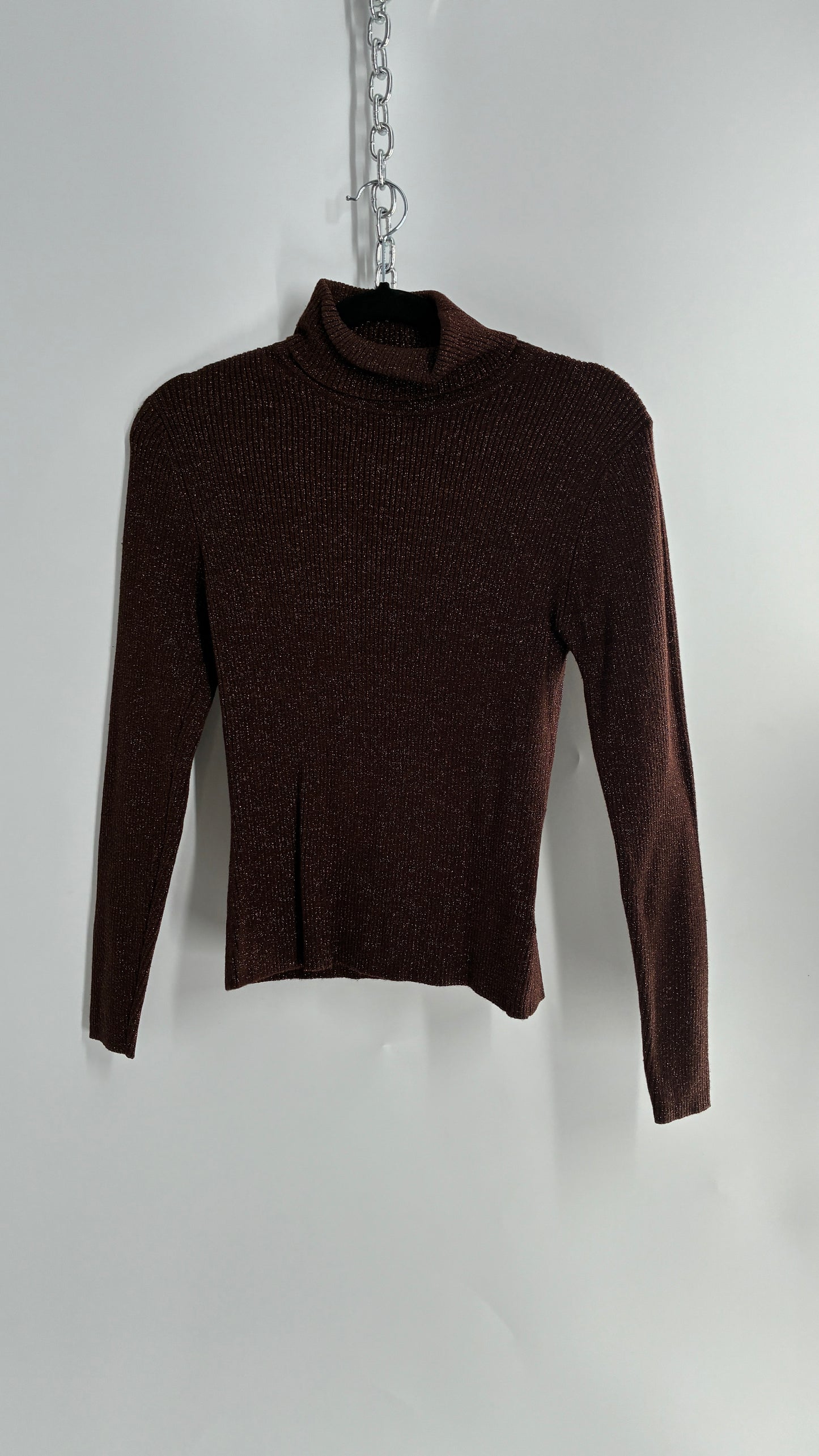 WORTHINGTON Brown Sparkle Tinsel Ribbed Knit Turtle Neck (Small)