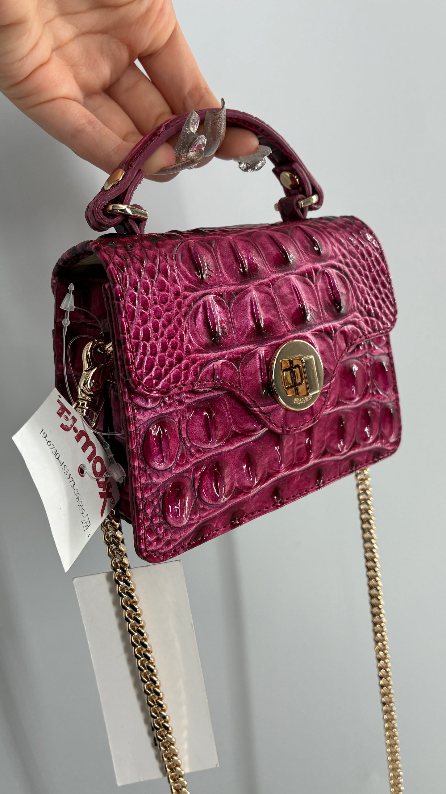 BRAHMIN Arietta Pomegranate Melbourne Mini Purse with Tags Attached, Gold Crossbody Chain and Authentication