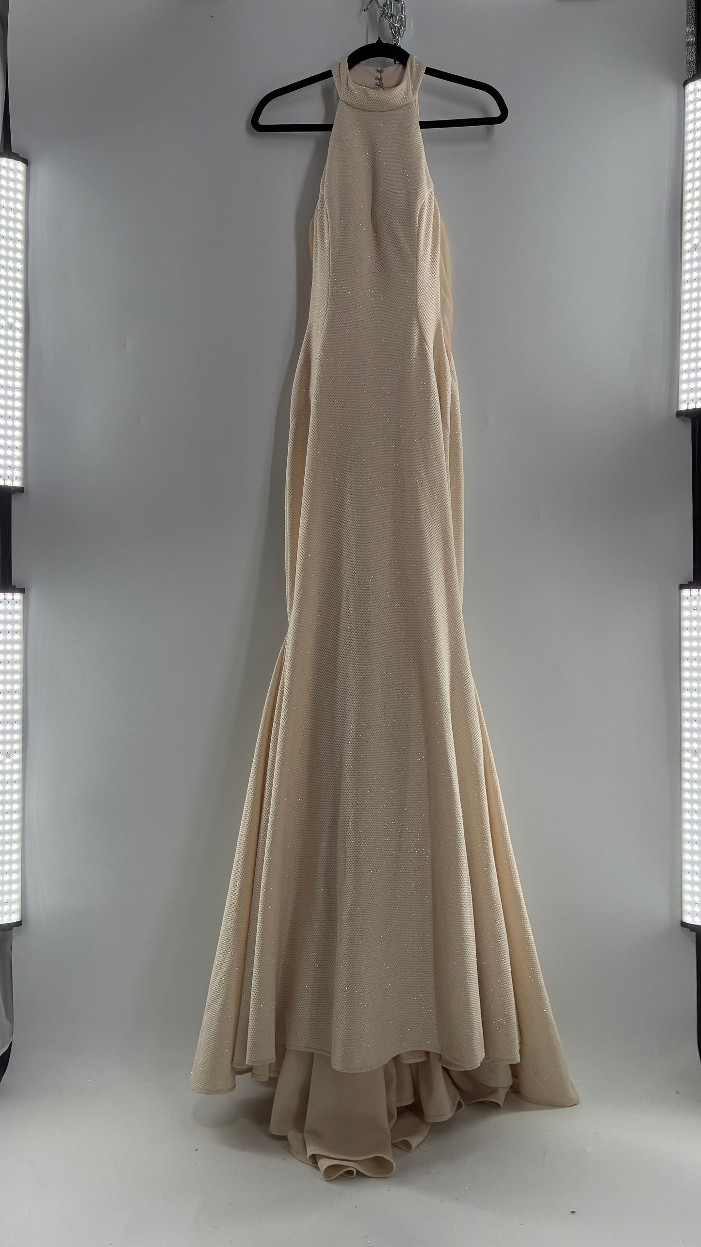 Vintage JOVANI Ivory Glittery Full Length Gown with Sheer Side Panels, Hourglass Illusion, and Pin Up Train (8)