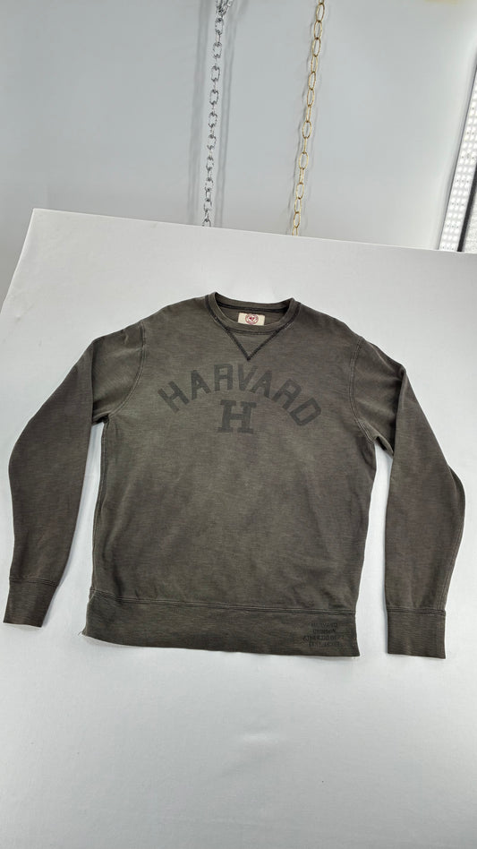 Vintage HARVARD Knit Long Sleeve (Medium)
