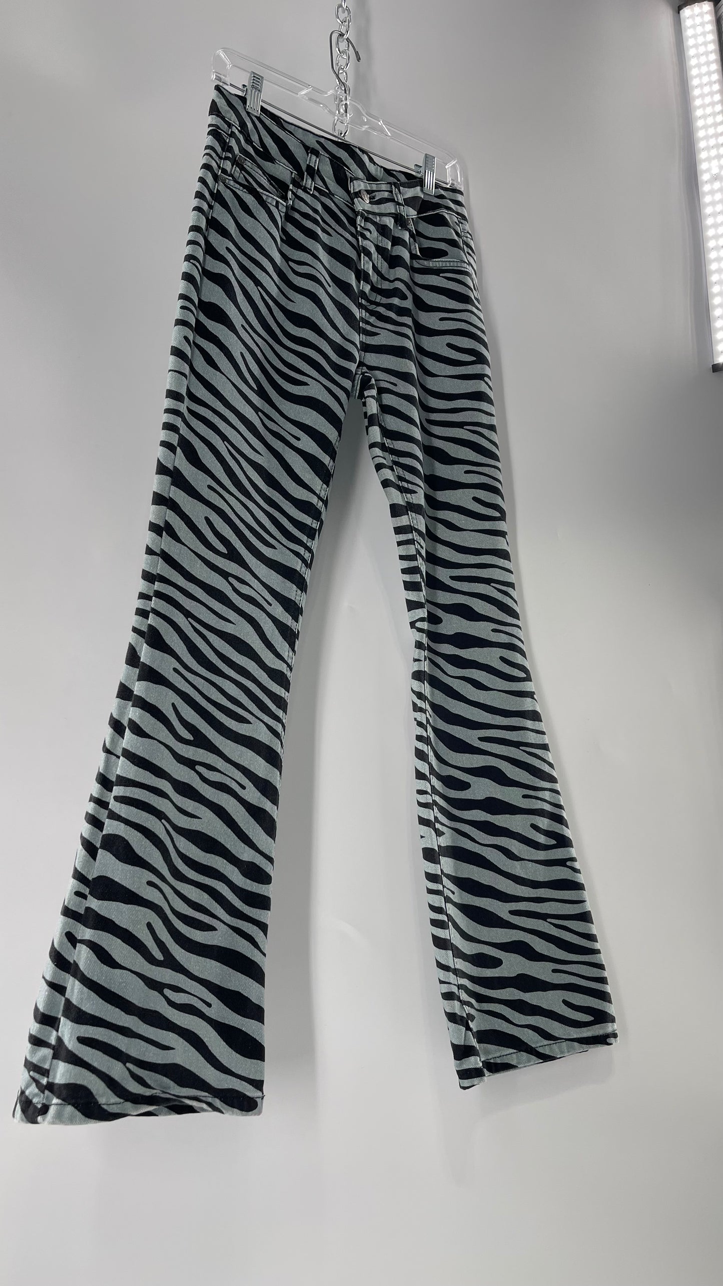 Milk It Baby Blue Kickflares in Zebra Patterning (26)