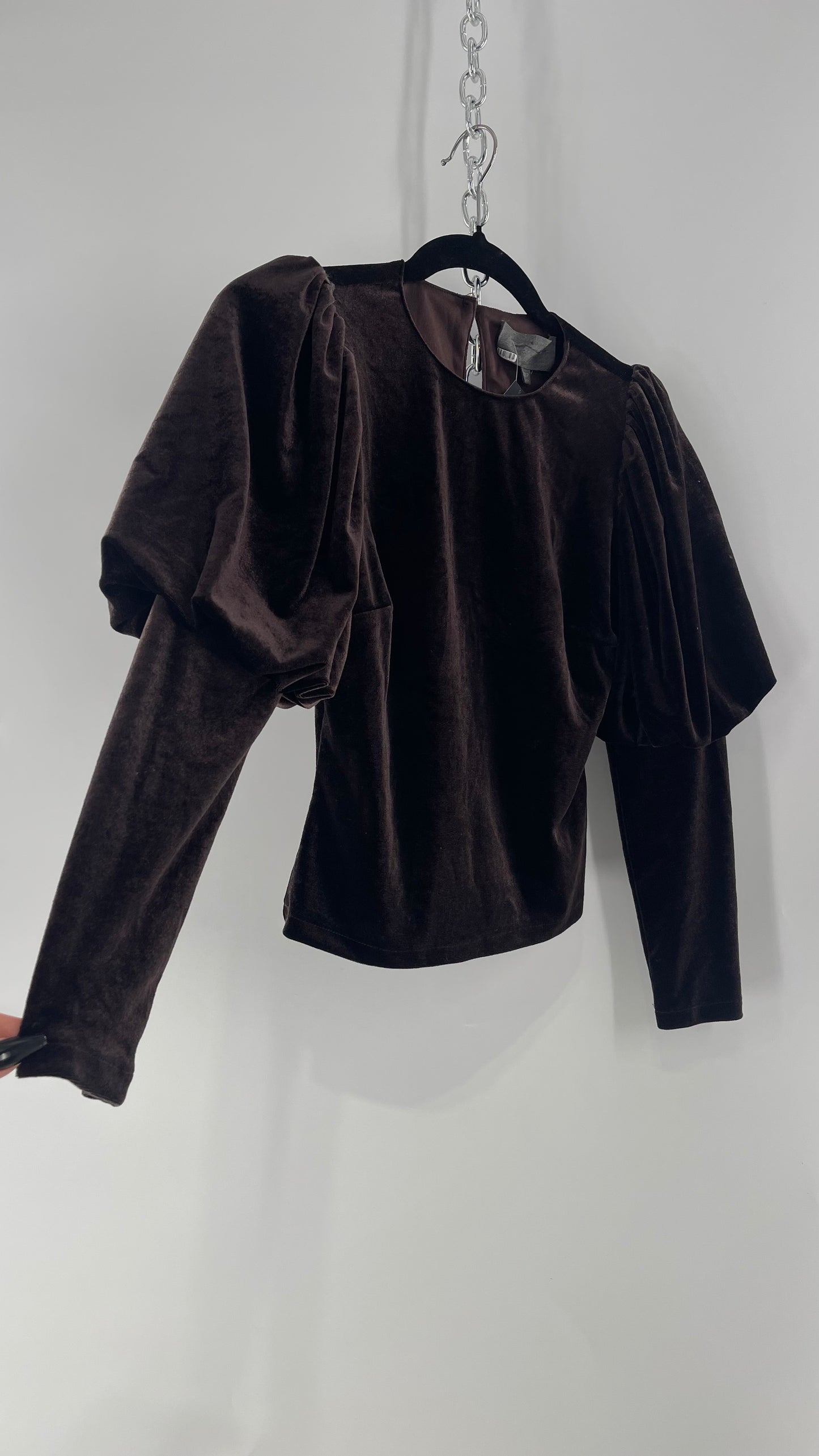 Anthropologie Sundays in Brooklyn Dark Brown Puff Shoulder, High Neck, Juliette Sleeve Blouse (XXSP)