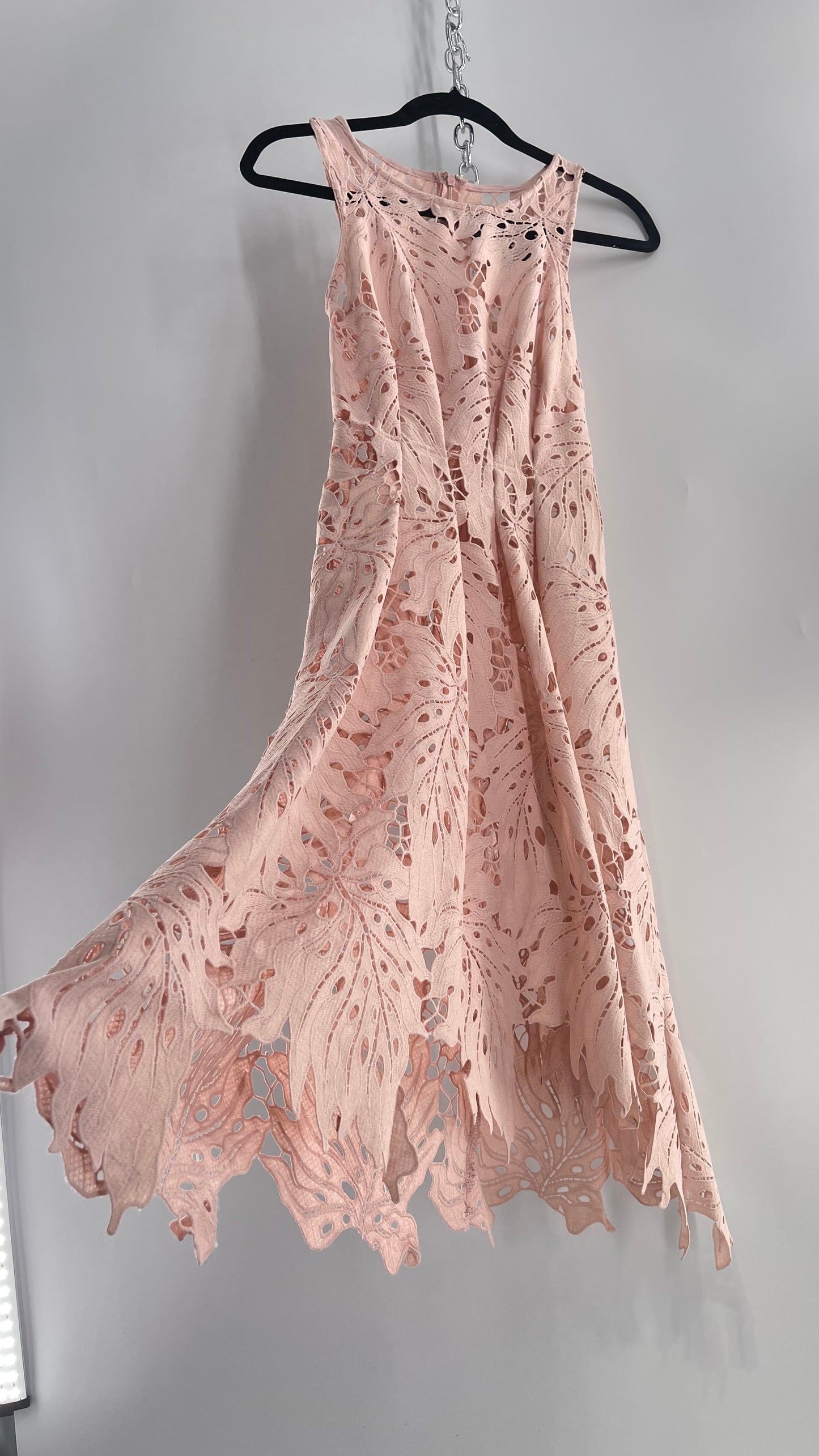 Anthropologie Eva Franco Baby Pink Completely Laser Cut Lace Palm Leaf Knee High Dress (2)