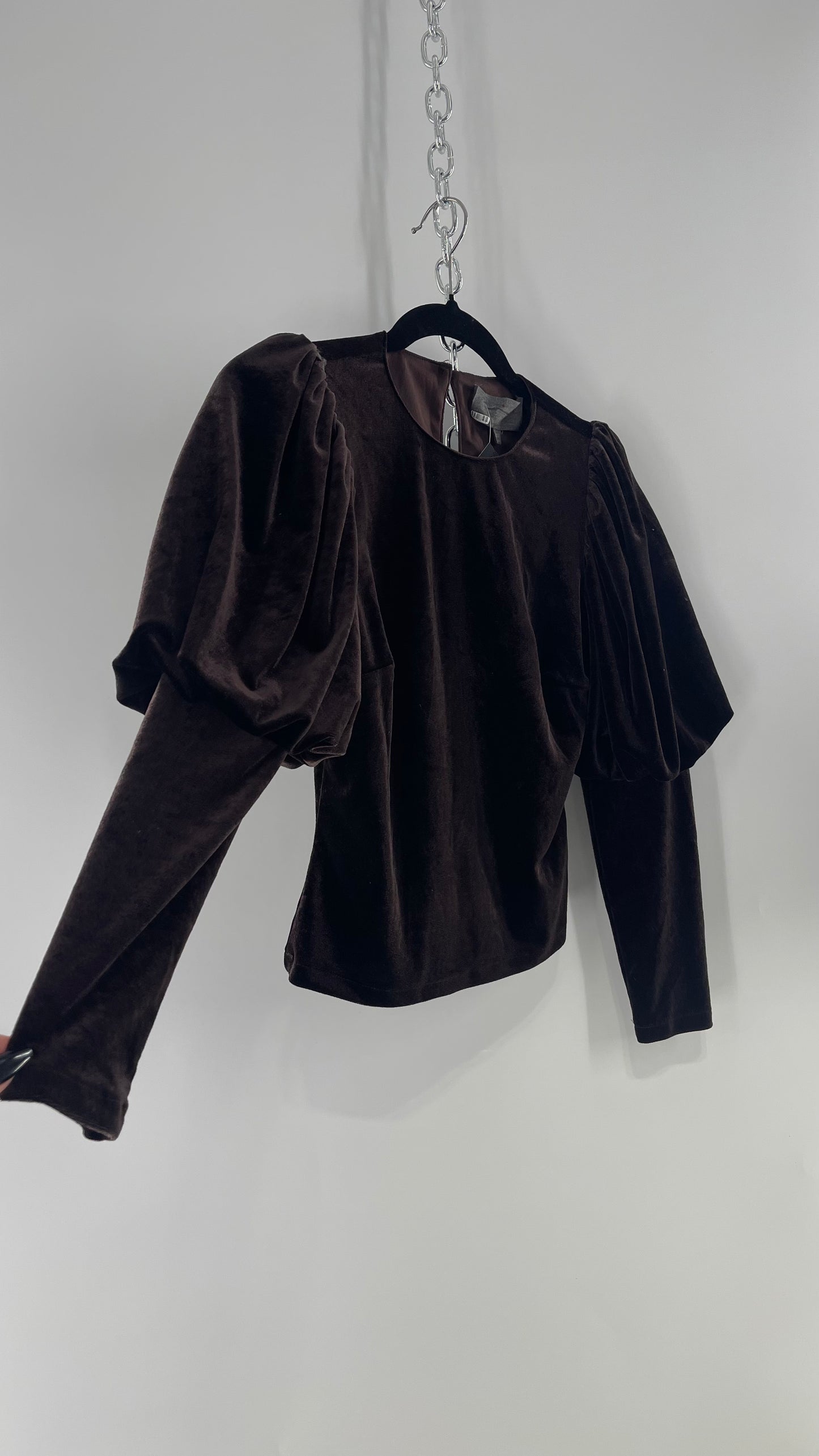 Anthropologie Sundays in Brooklyn Dark Brown Puff Shoulder, High Neck, Juliette Sleeve Blouse (XXSP)