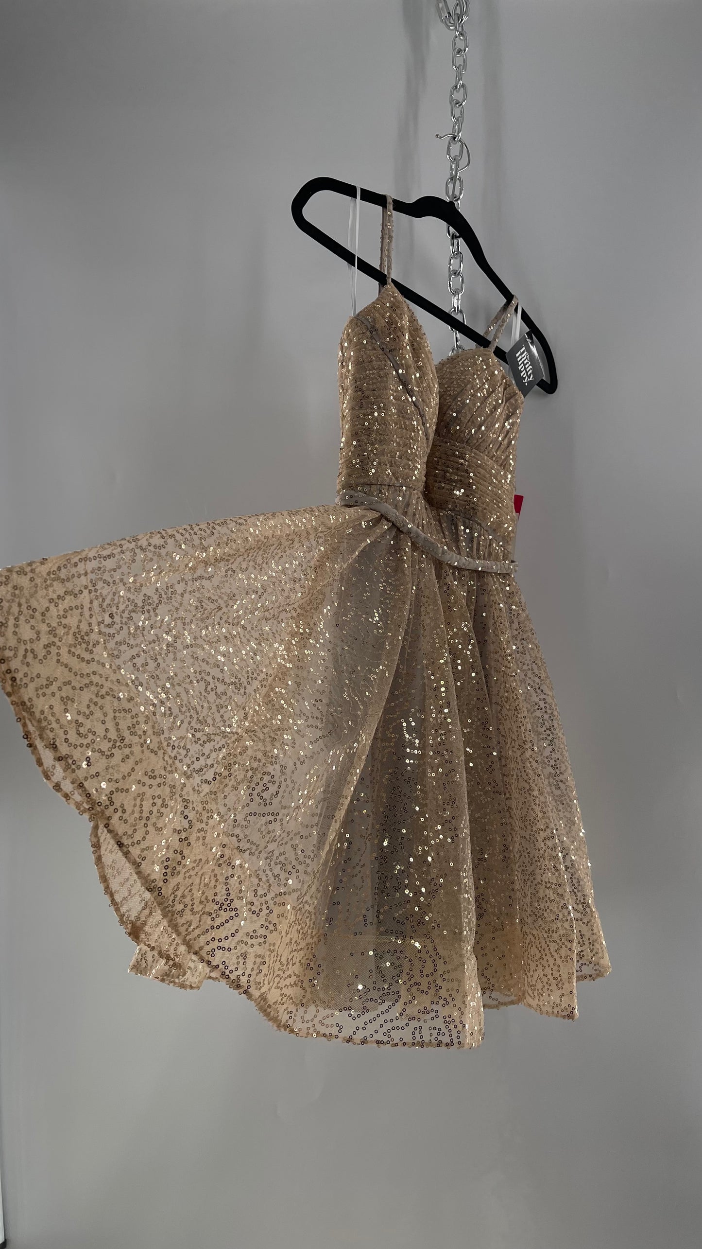 Terani Couture 1922H0420 Sleeveless Gold Sequin Tutu Dress with Ruched Corset Body (0)