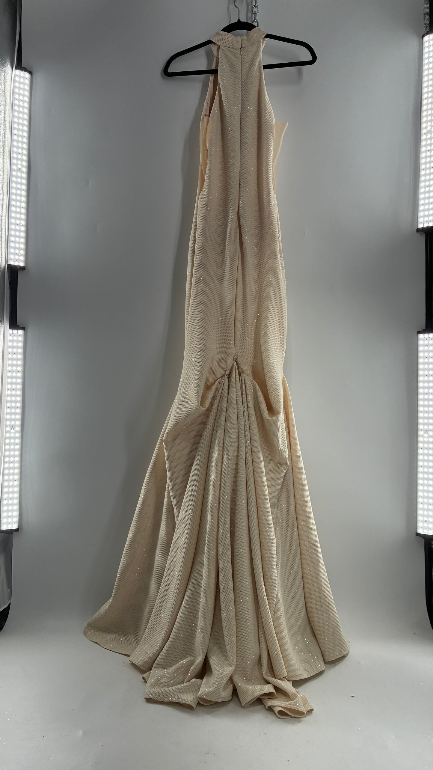 Vintage JOVANI Ivory Glittery Full Length Gown with Sheer Side Panels, Hourglass Illusion, and Pin Up Train (8)