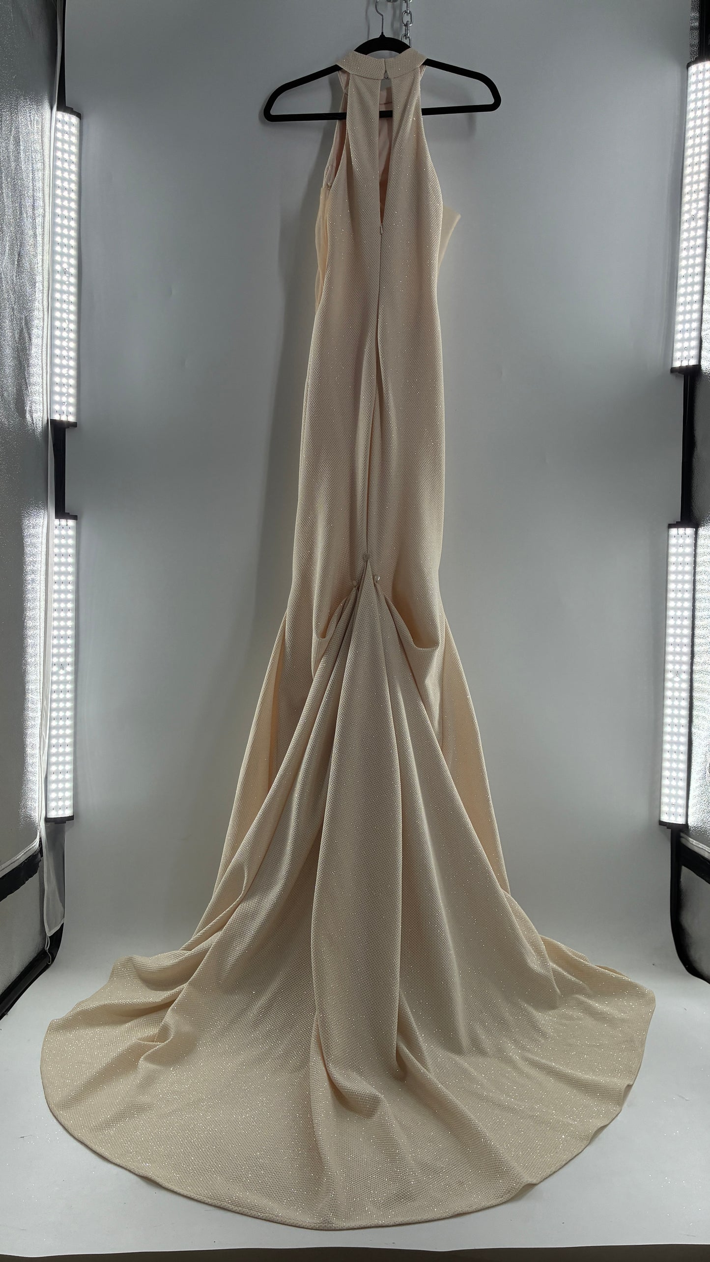 Vintage JOVANI Ivory Glittery Full Length Gown with Sheer Side Panels, Hourglass Illusion, and Pin Up Train (8)