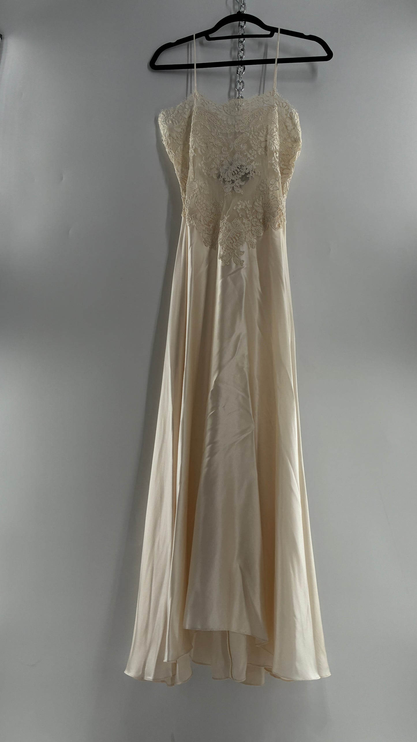 Vintage JONQUIL 100% Silk Gown with Heavy Lace Appliqués and Low Cut Sheer Back (Medium)