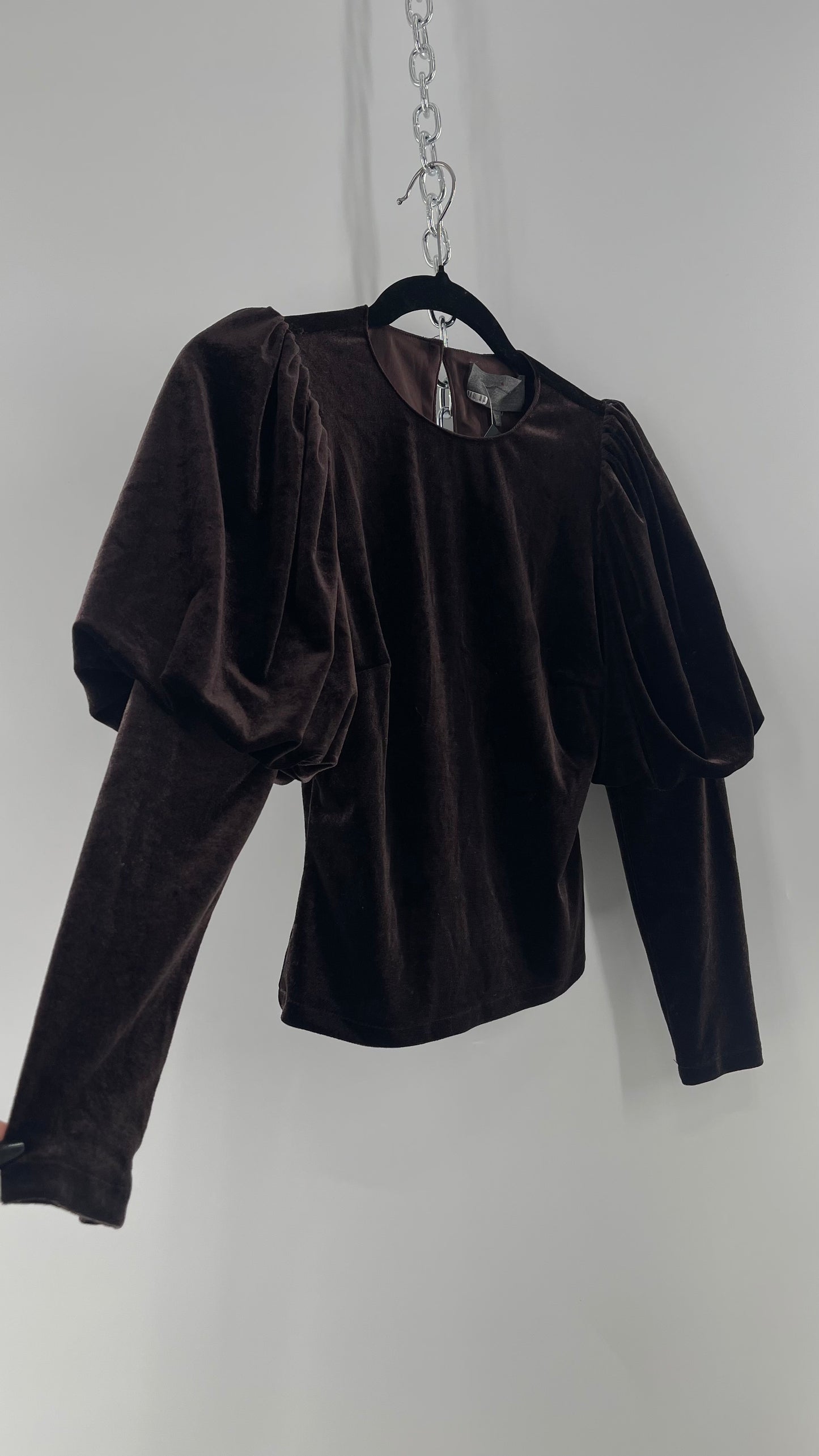 Anthropologie Sundays in Brooklyn Dark Brown Puff Shoulder, High Neck, Juliette Sleeve Blouse (XXSP)