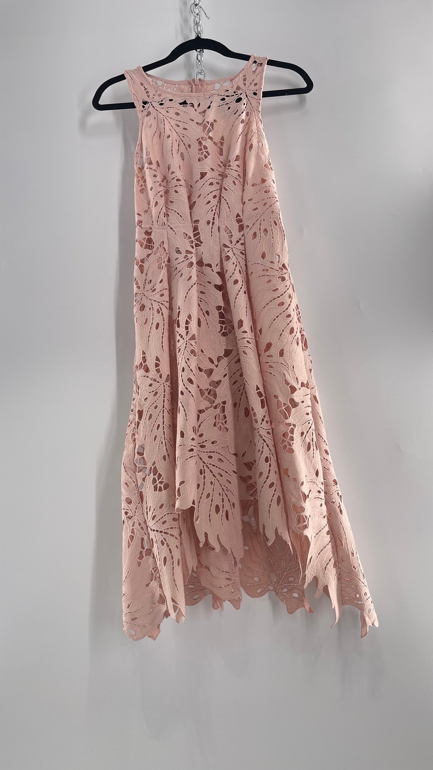 Anthropologie Eva Franco Baby Pink Completely Laser Cut Lace Palm Leaf Knee High Dress (2)