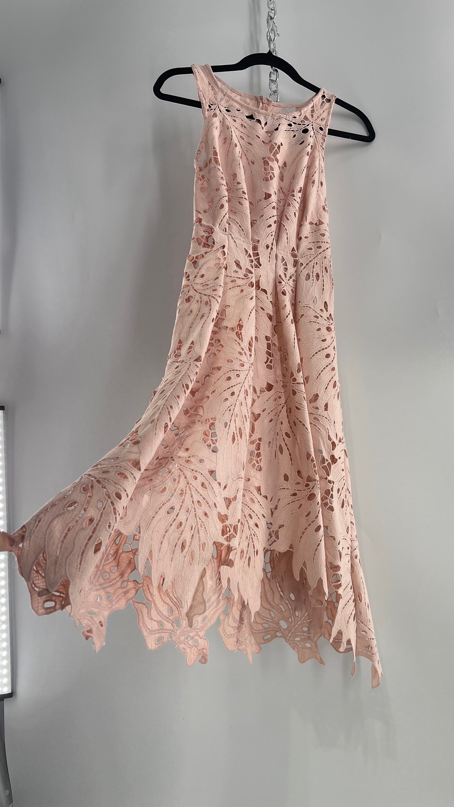 Anthropologie Eva Franco Baby Pink Completely Laser Cut Lace Palm Leaf Knee High Dress (2)