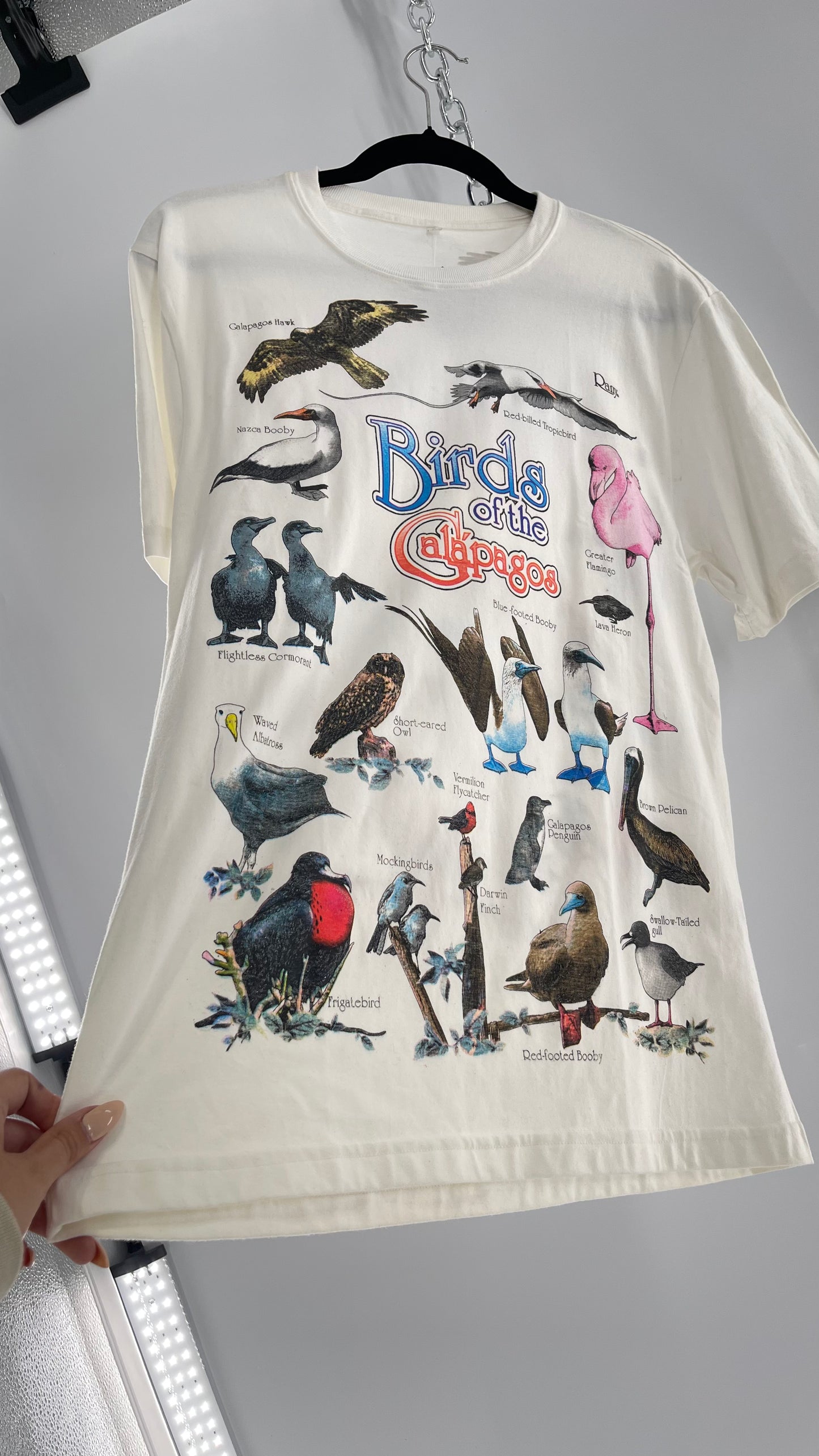 Vintage Glitter Galapagos Bird Species T (Medium)