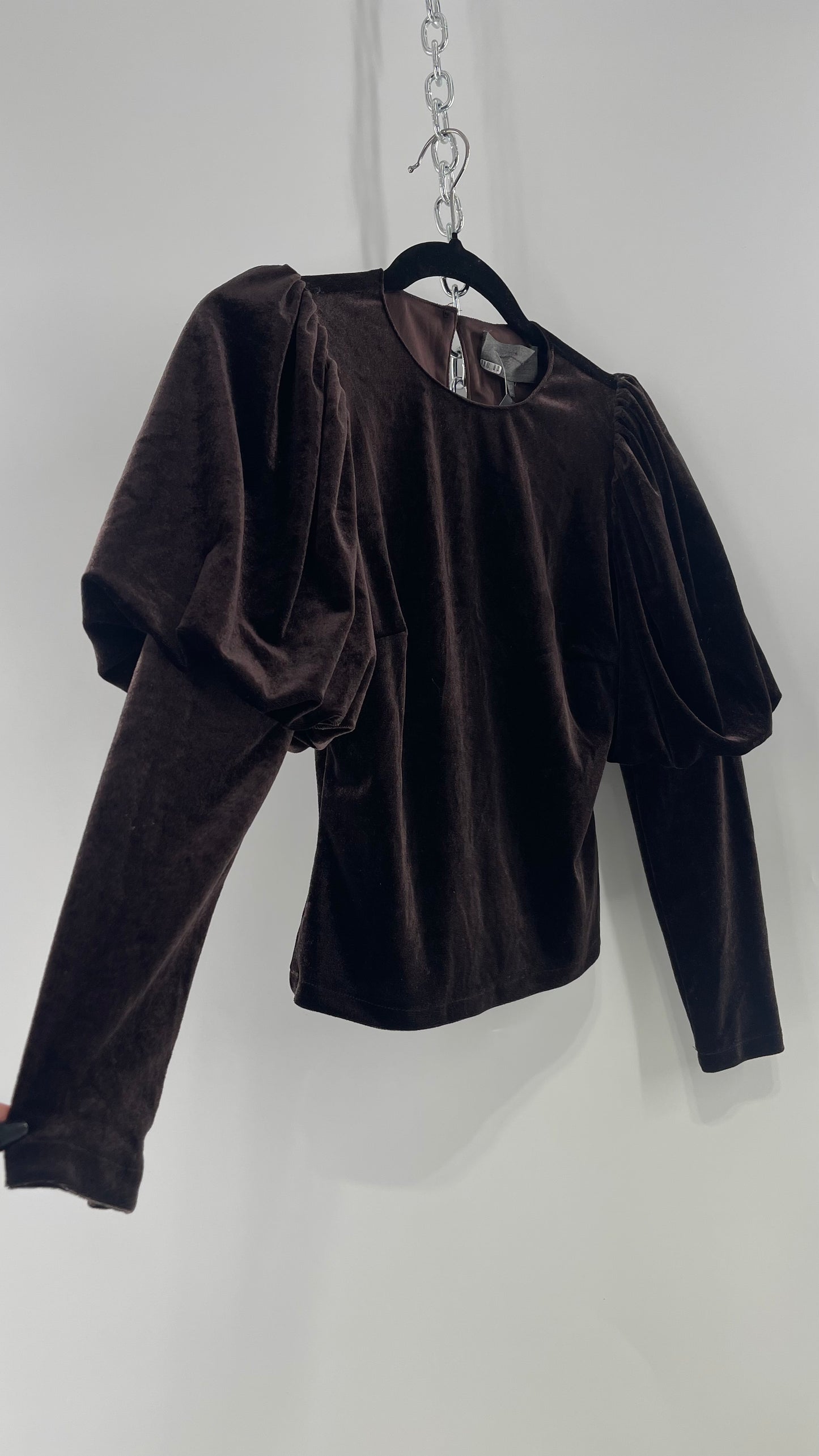 Anthropologie Sundays in Brooklyn Dark Brown Puff Shoulder, High Neck, Juliette Sleeve Blouse (XXSP)