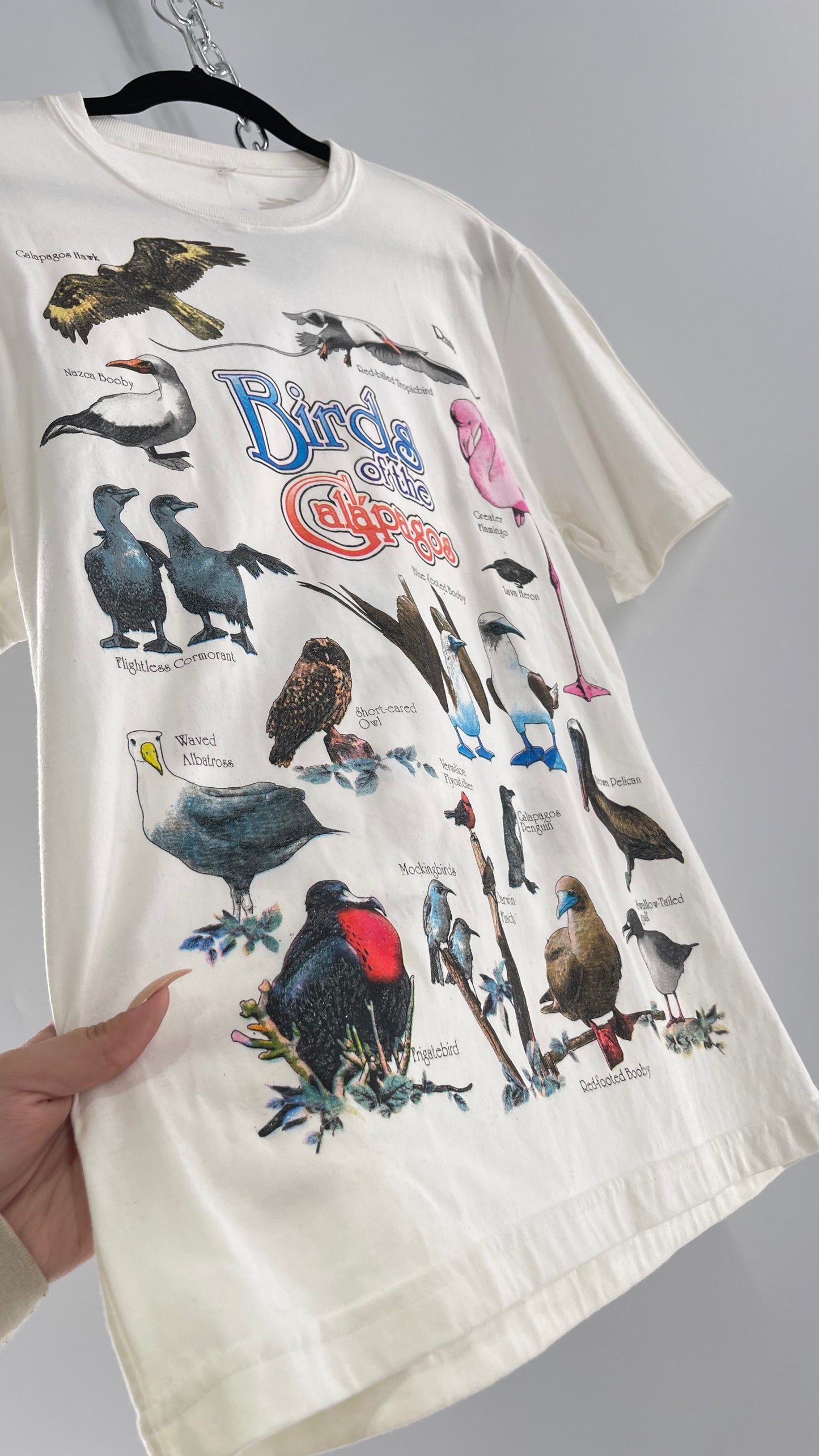 Vintage Glitter Galapagos Bird Species T (Medium)