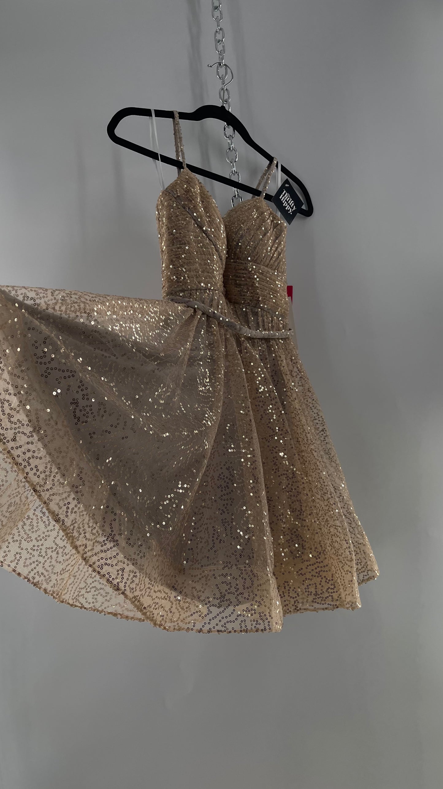 Terani Couture 1922H0420 Sleeveless Gold Sequin Tutu Dress with Ruched Corset Body (0)