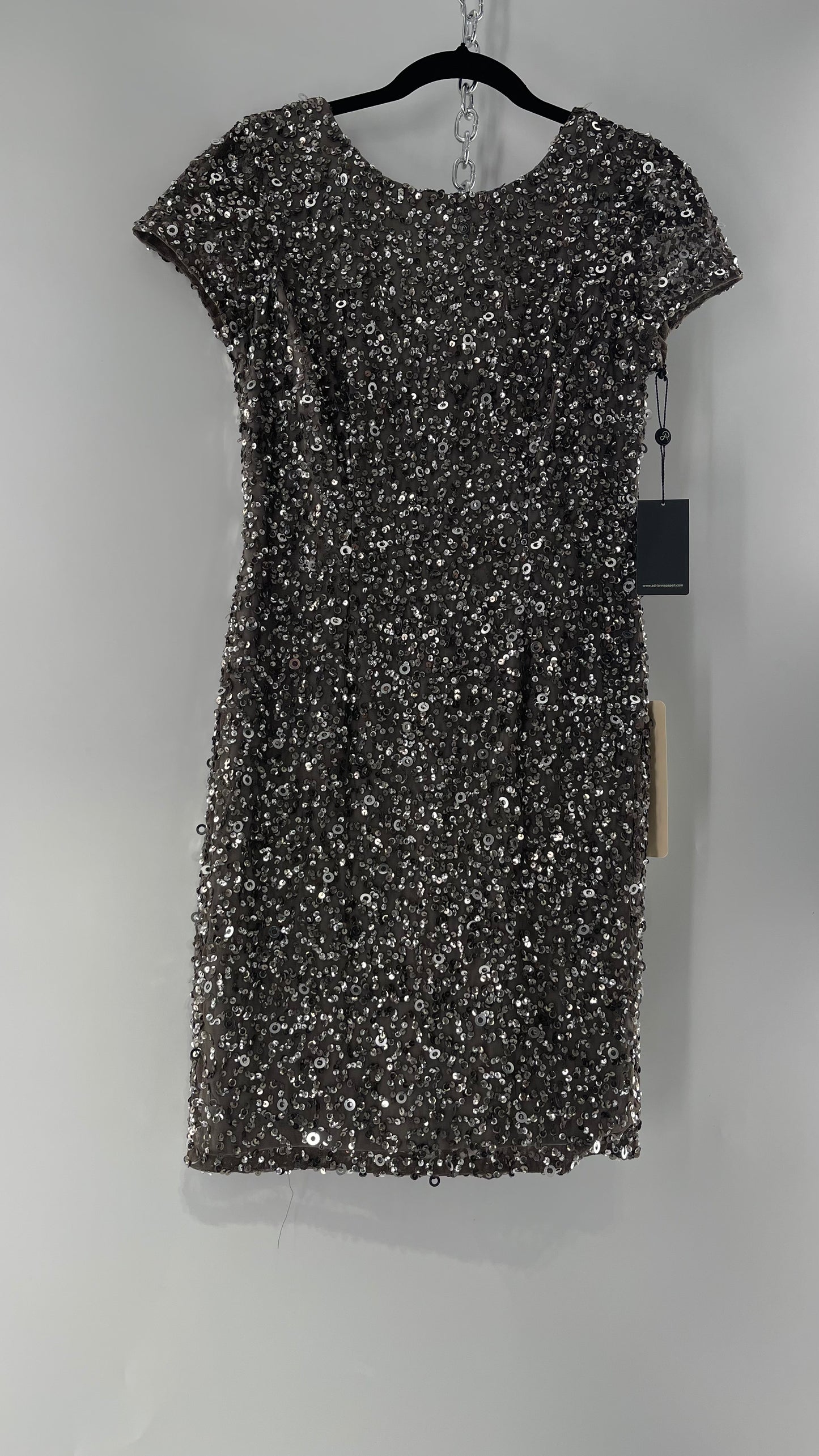 Adriana Papell Grey/Silver Short Sleeve Mini Dress Covered in Beads and Sequins (6)